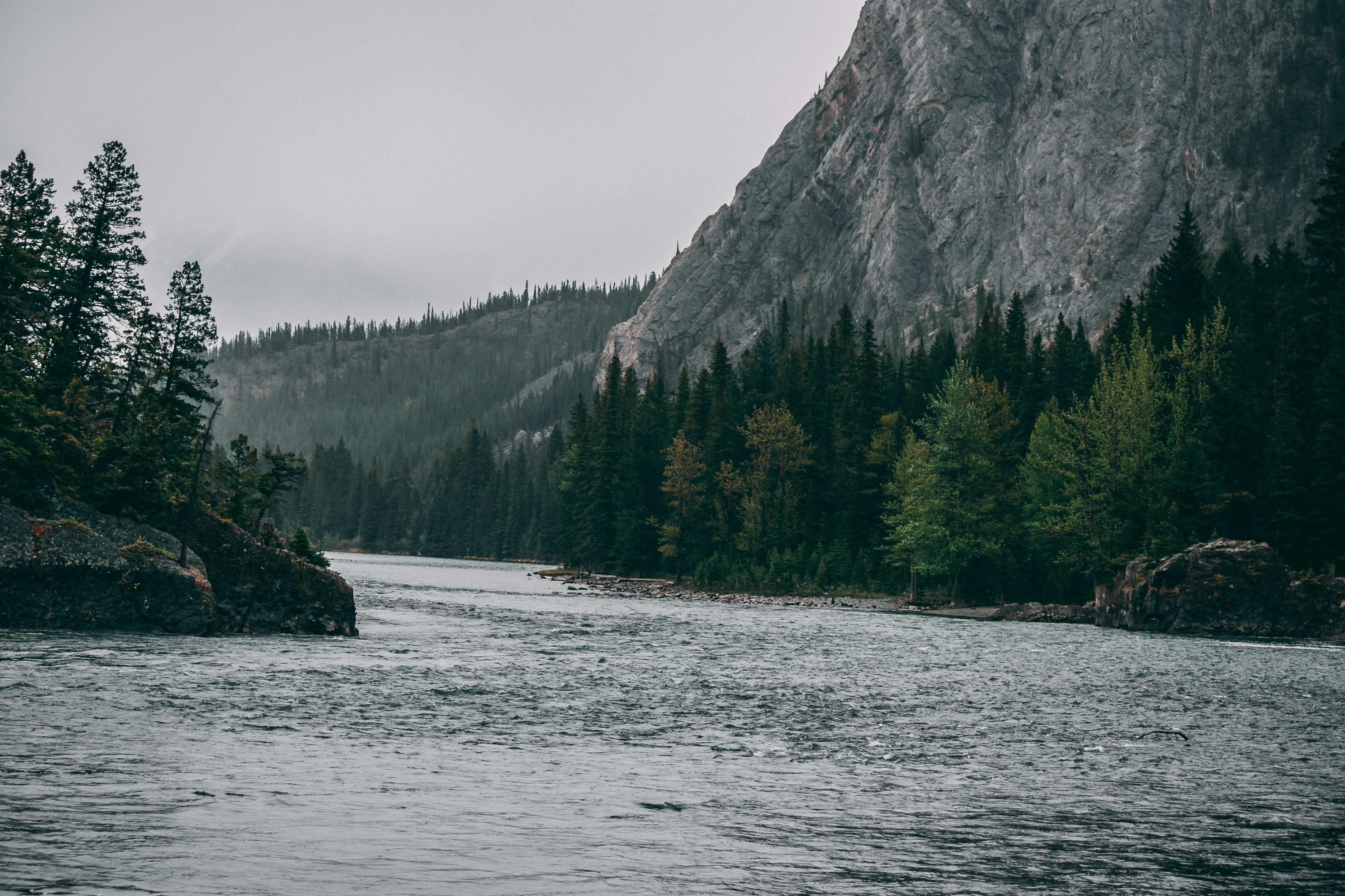 Photo by wlkr_photography