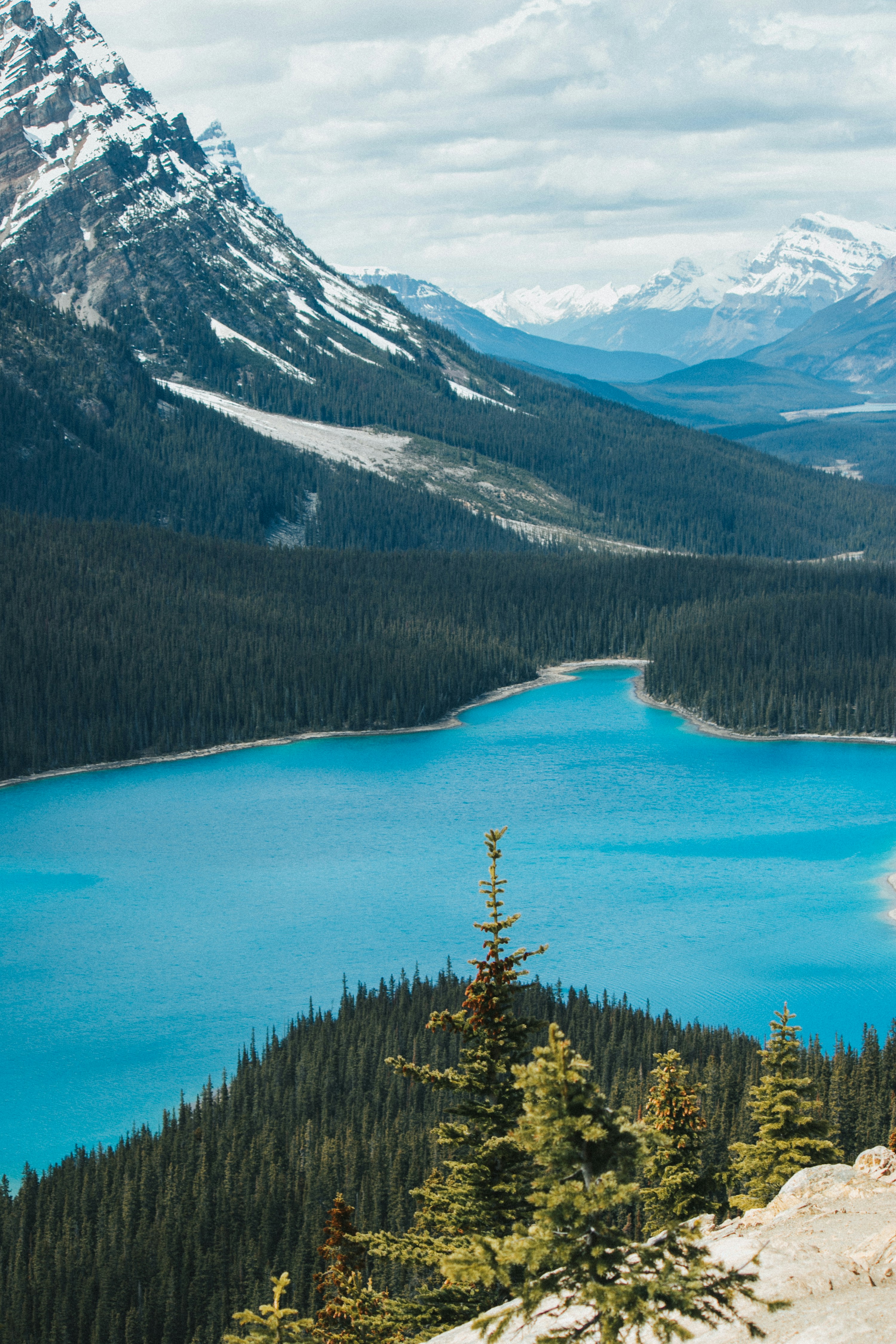 Photo by wlkr_photography