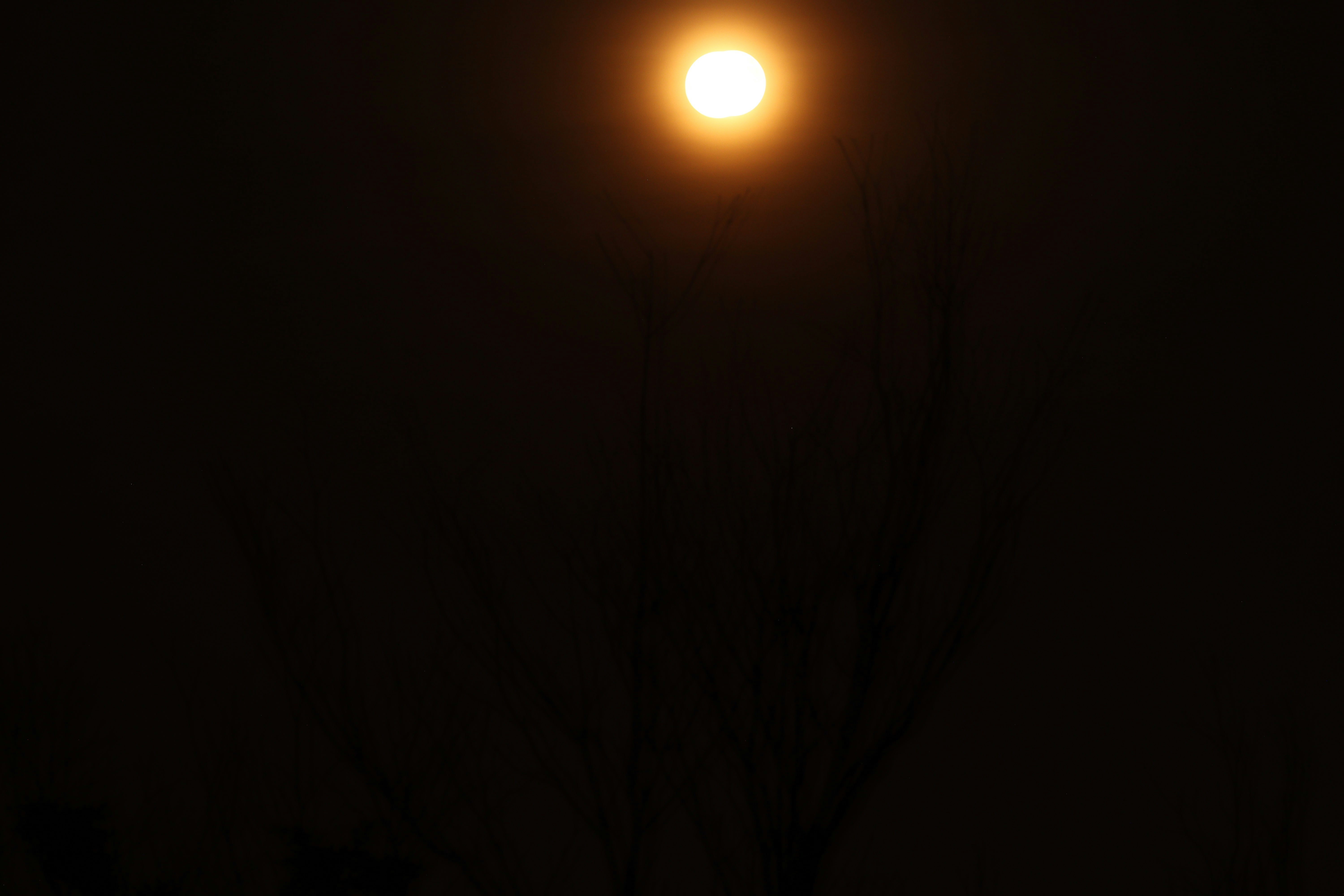 Photo by drphotographer152