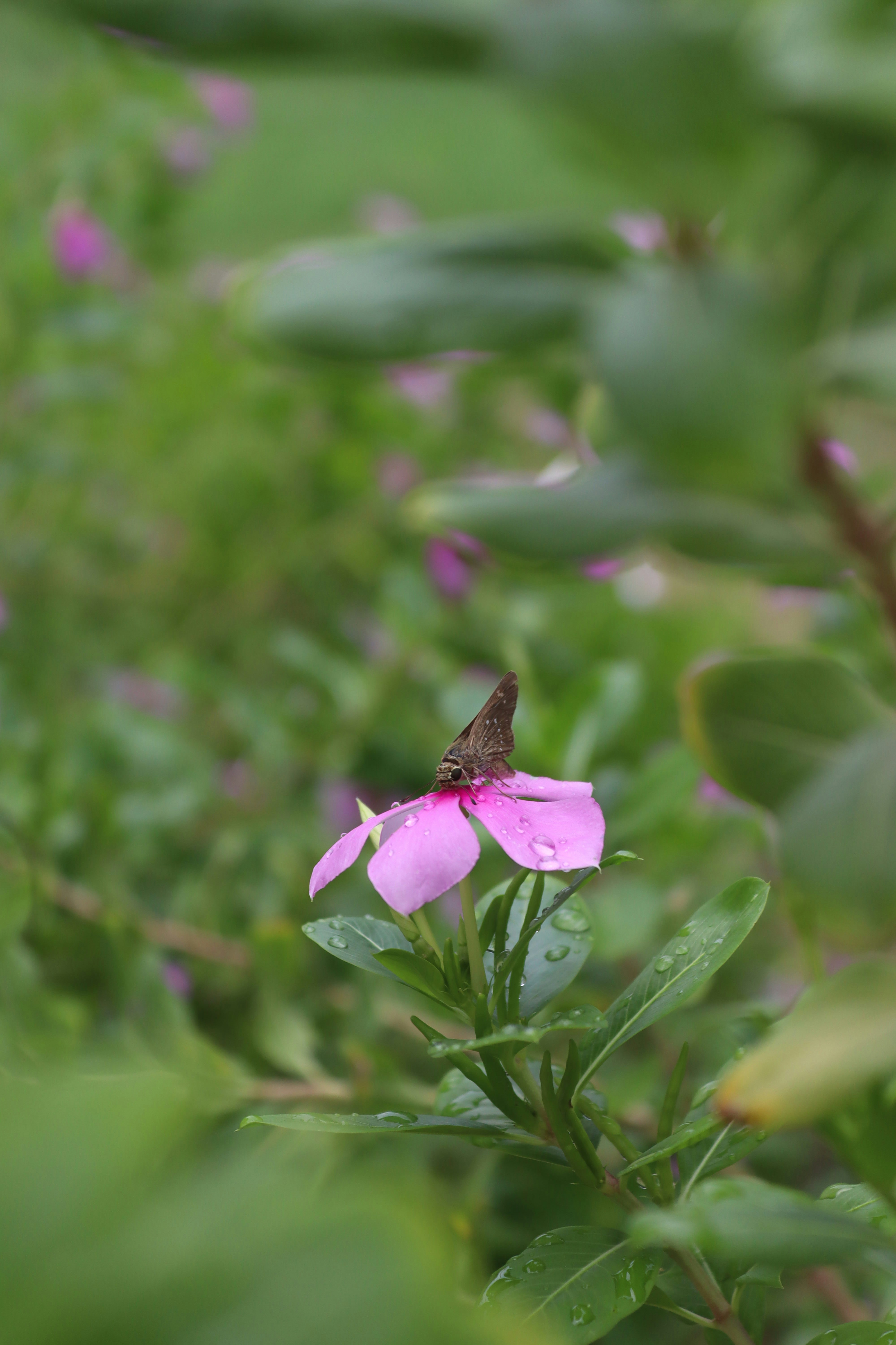 Photo by drphotographer152