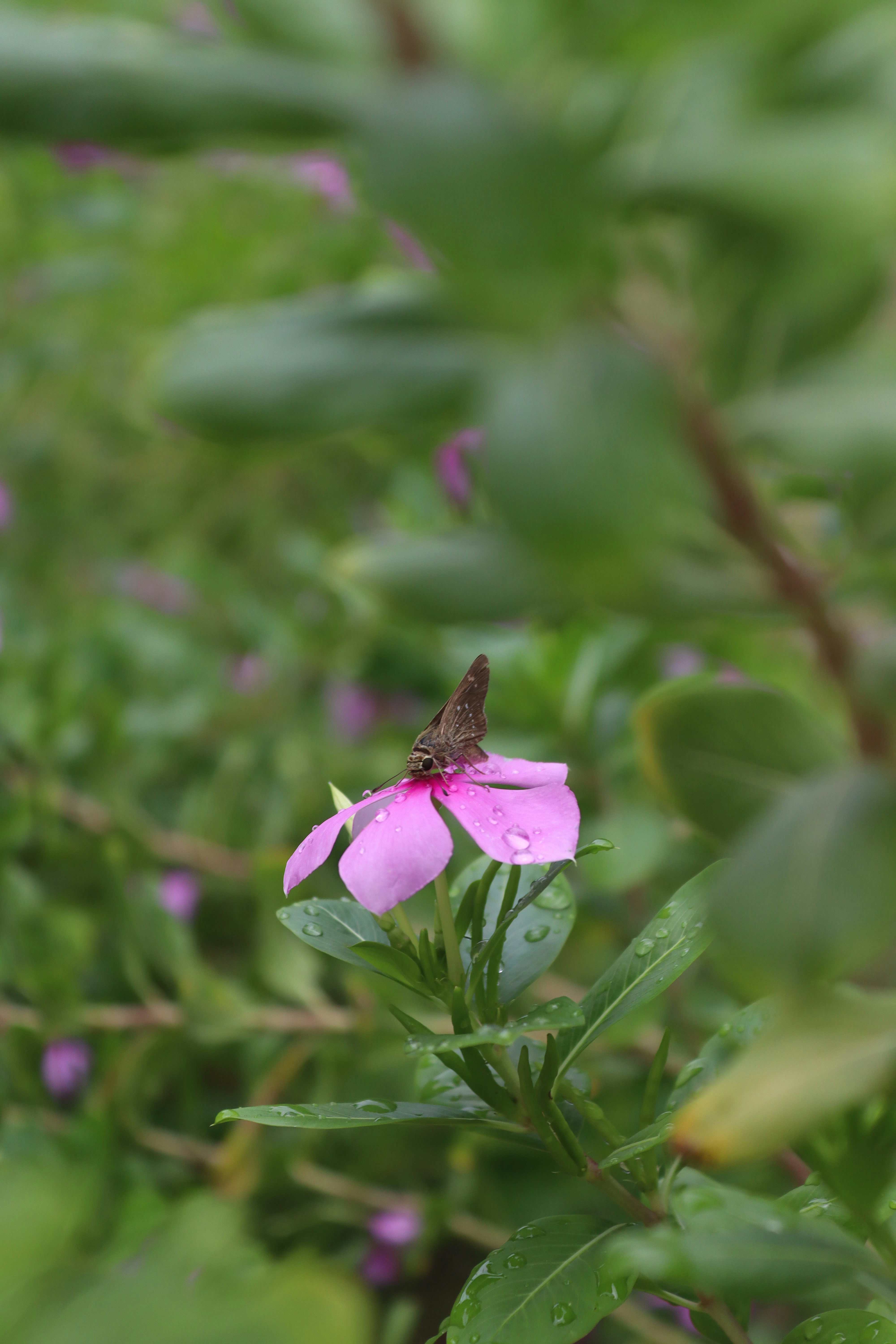 Photo by drphotographer152