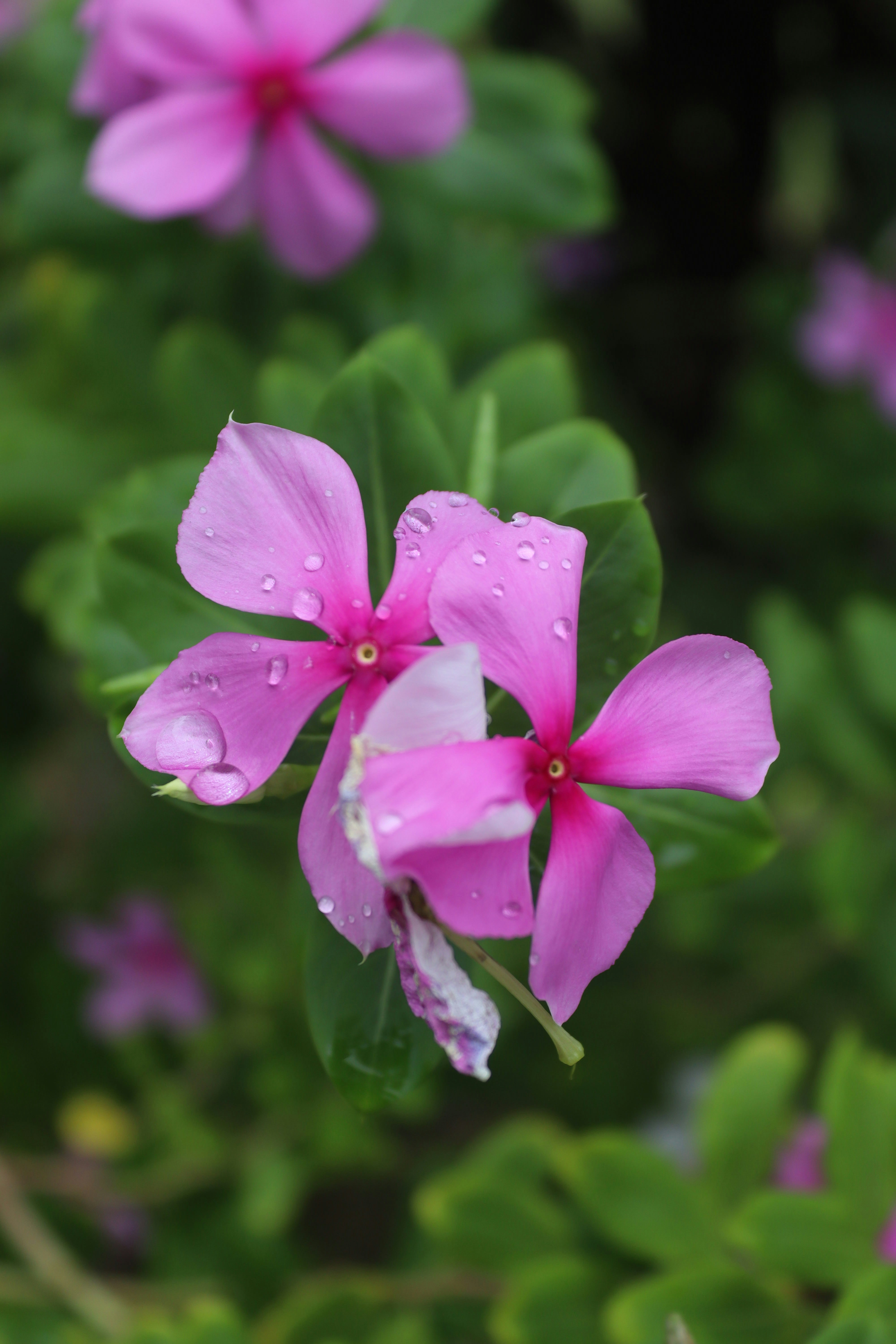 Photo by drphotographer152