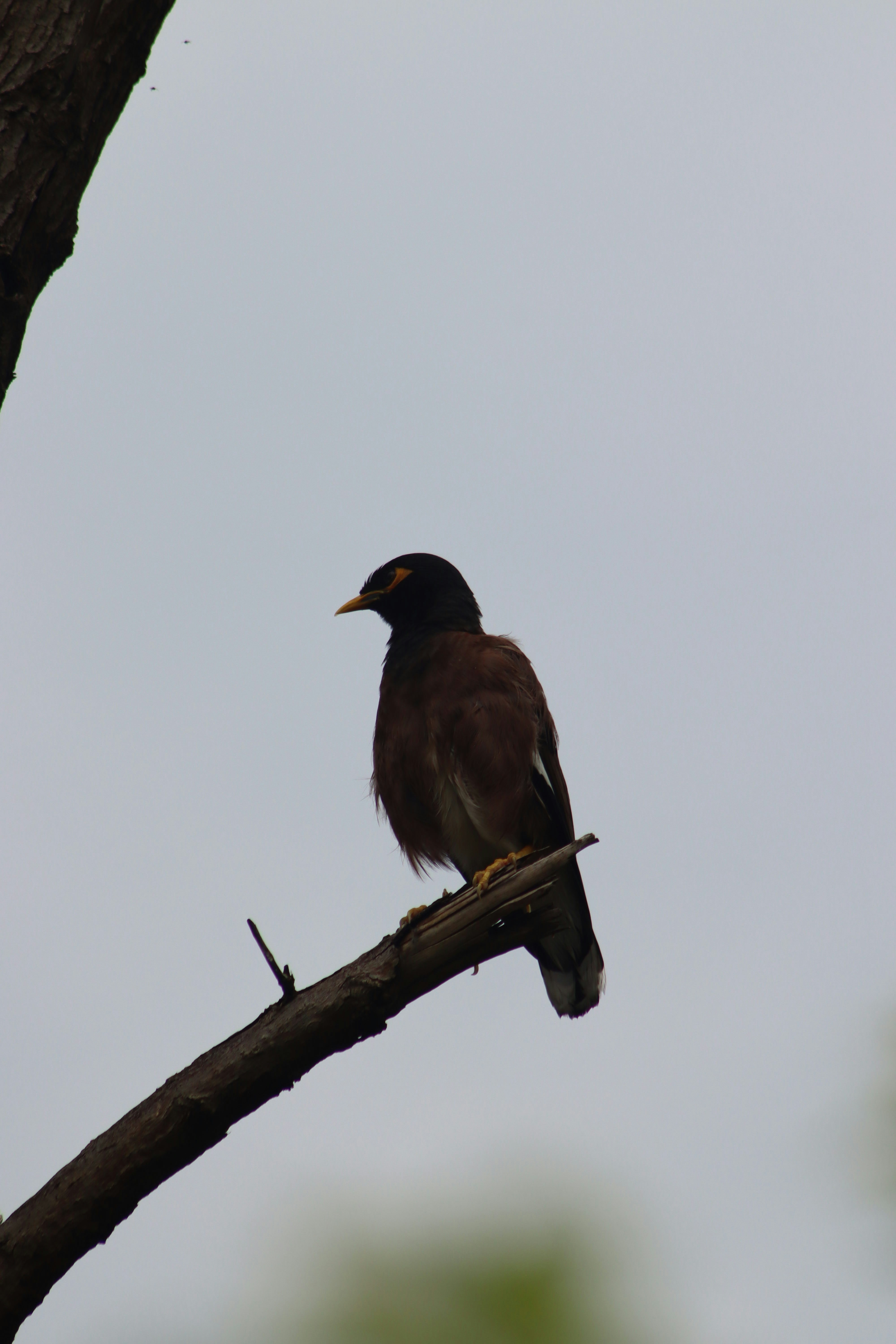 Photo by drphotographer152