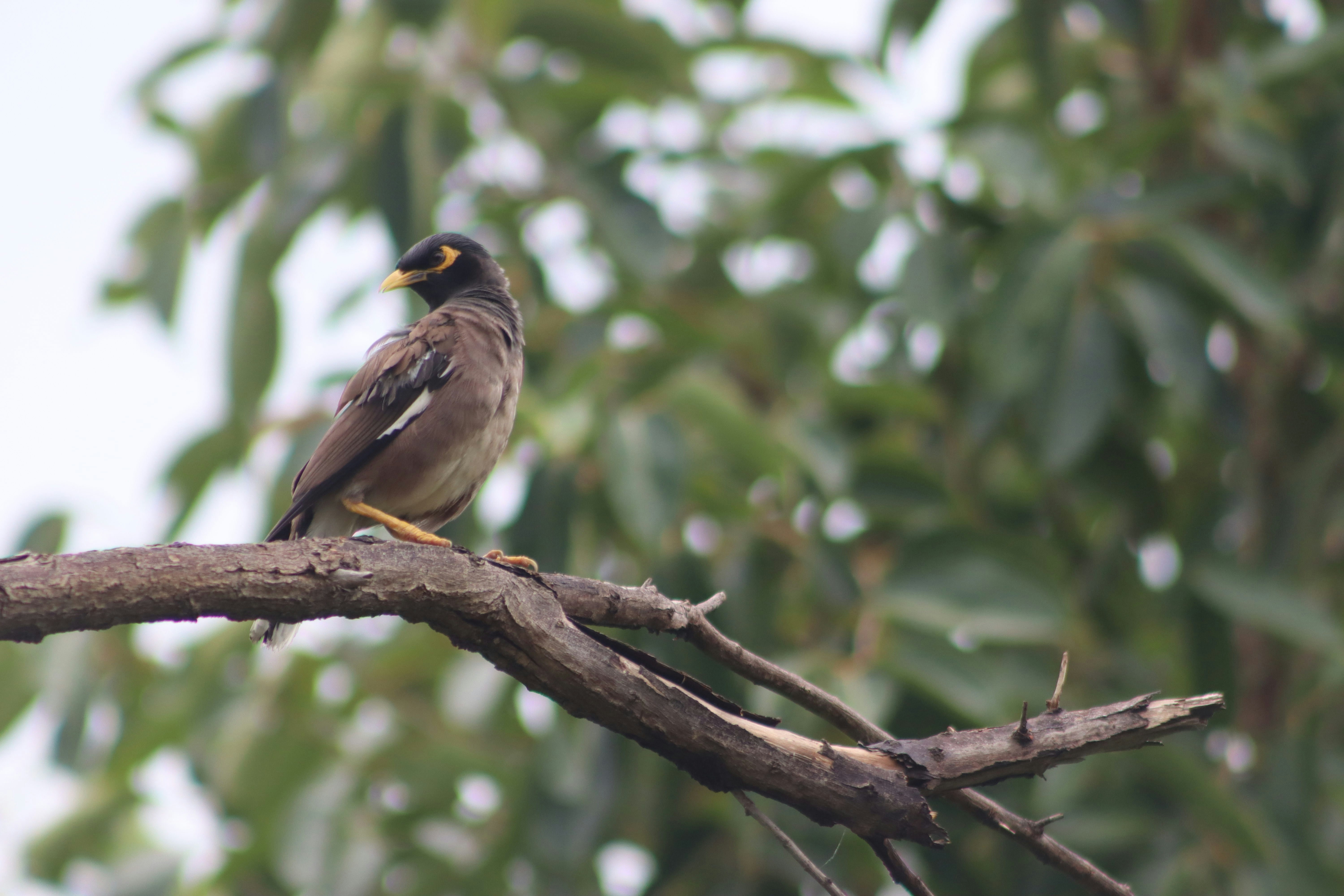 Photo by drphotographer152