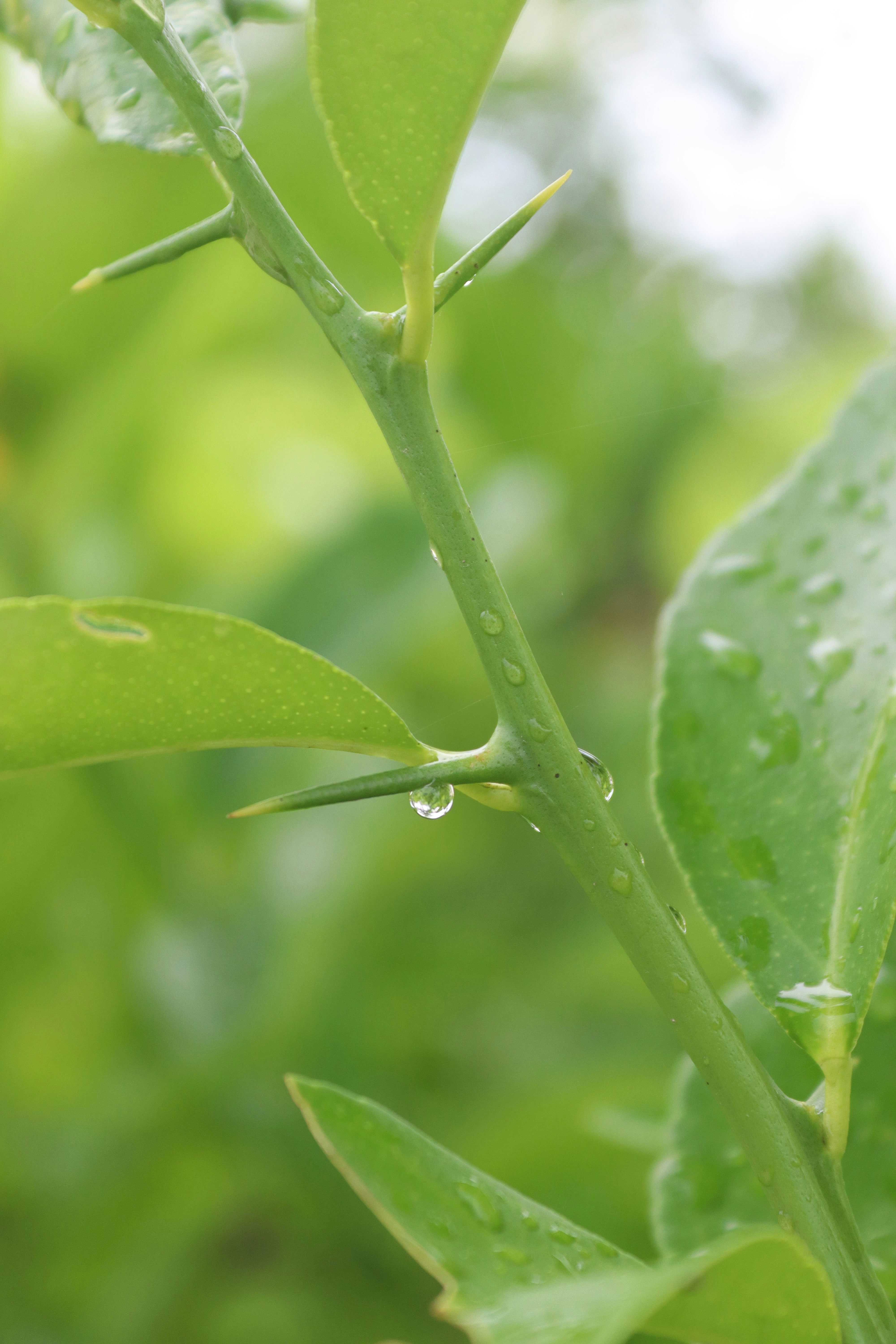 Photo by drphotographer152