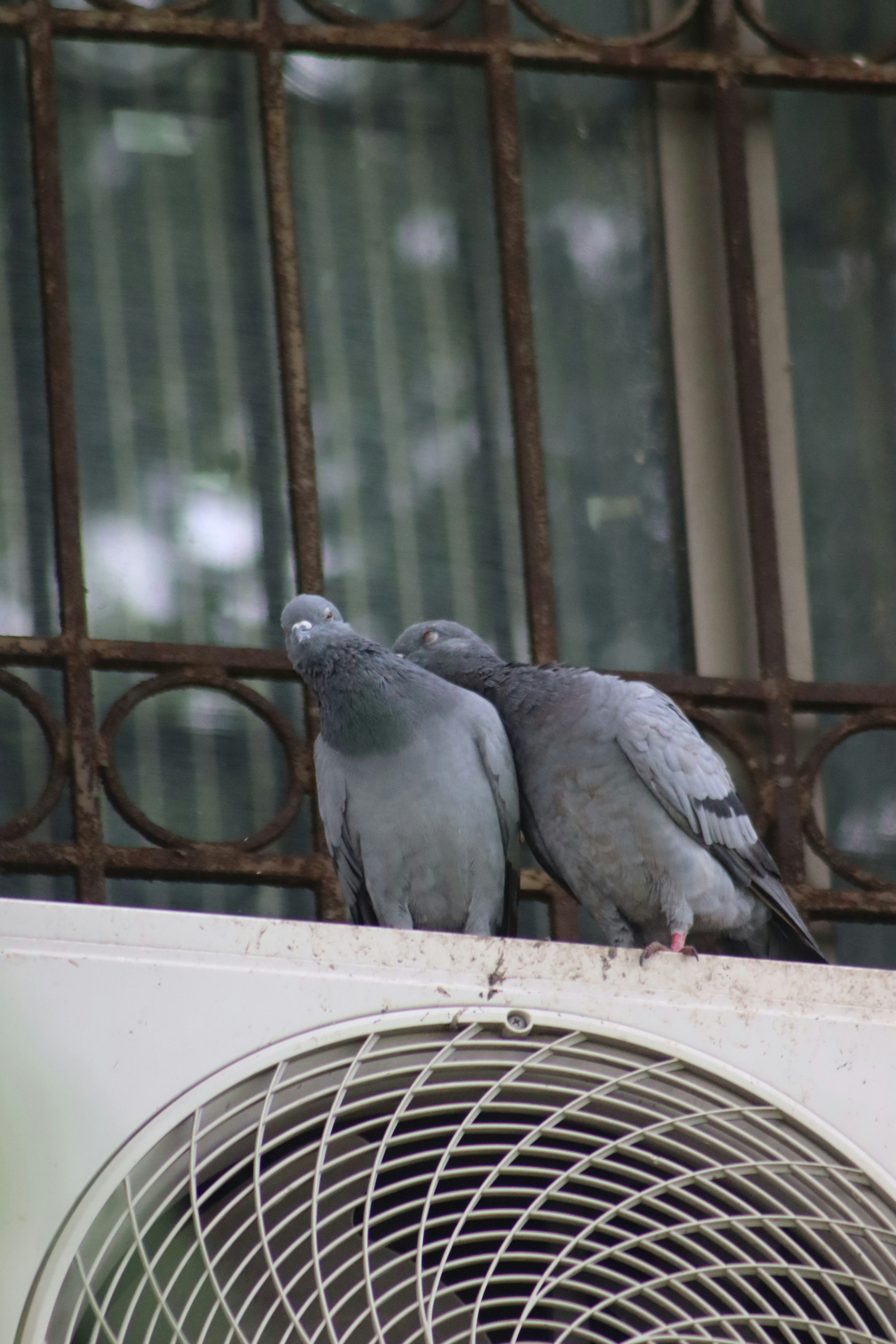 Photo by drphotographer152