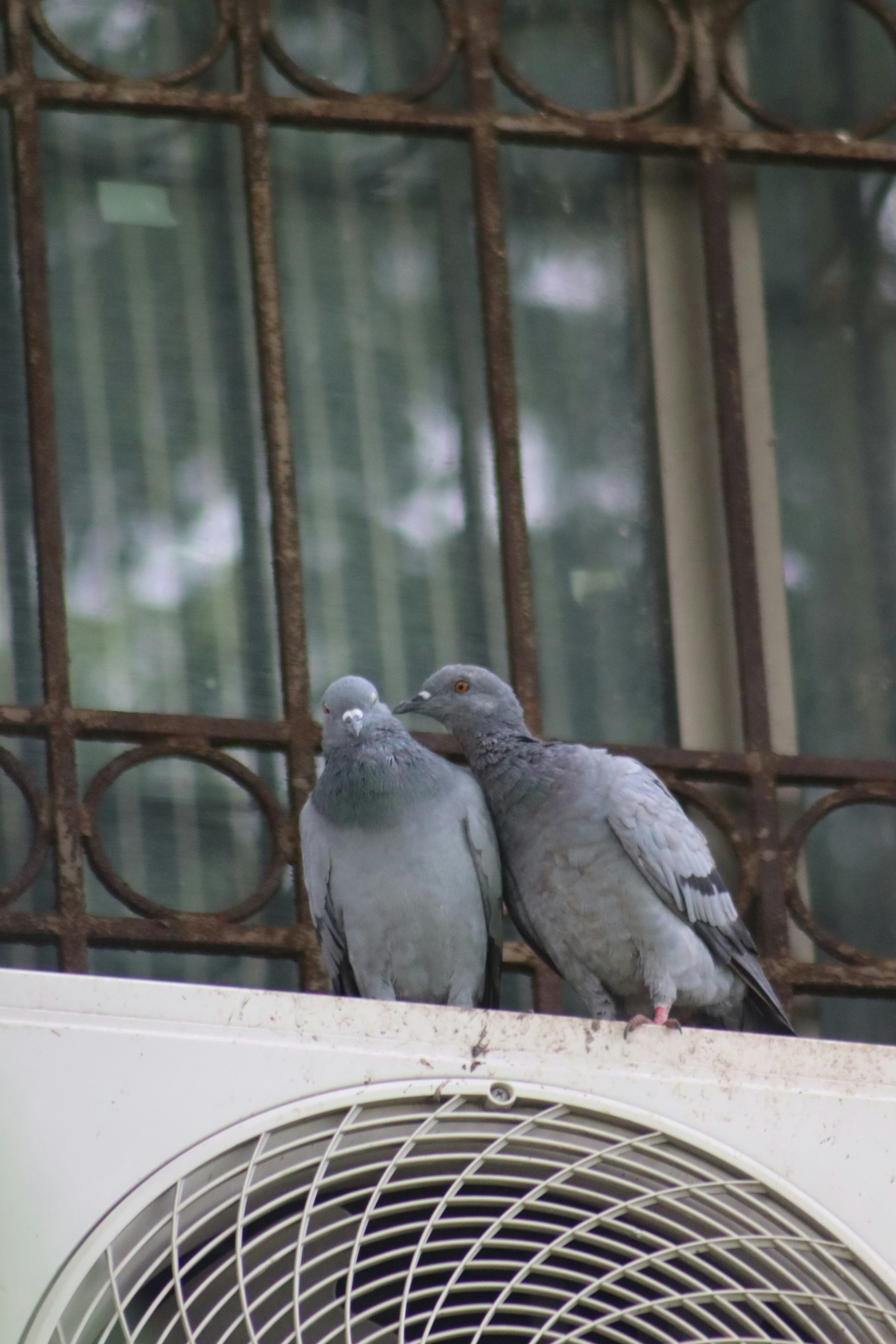 Photo by drphotographer152