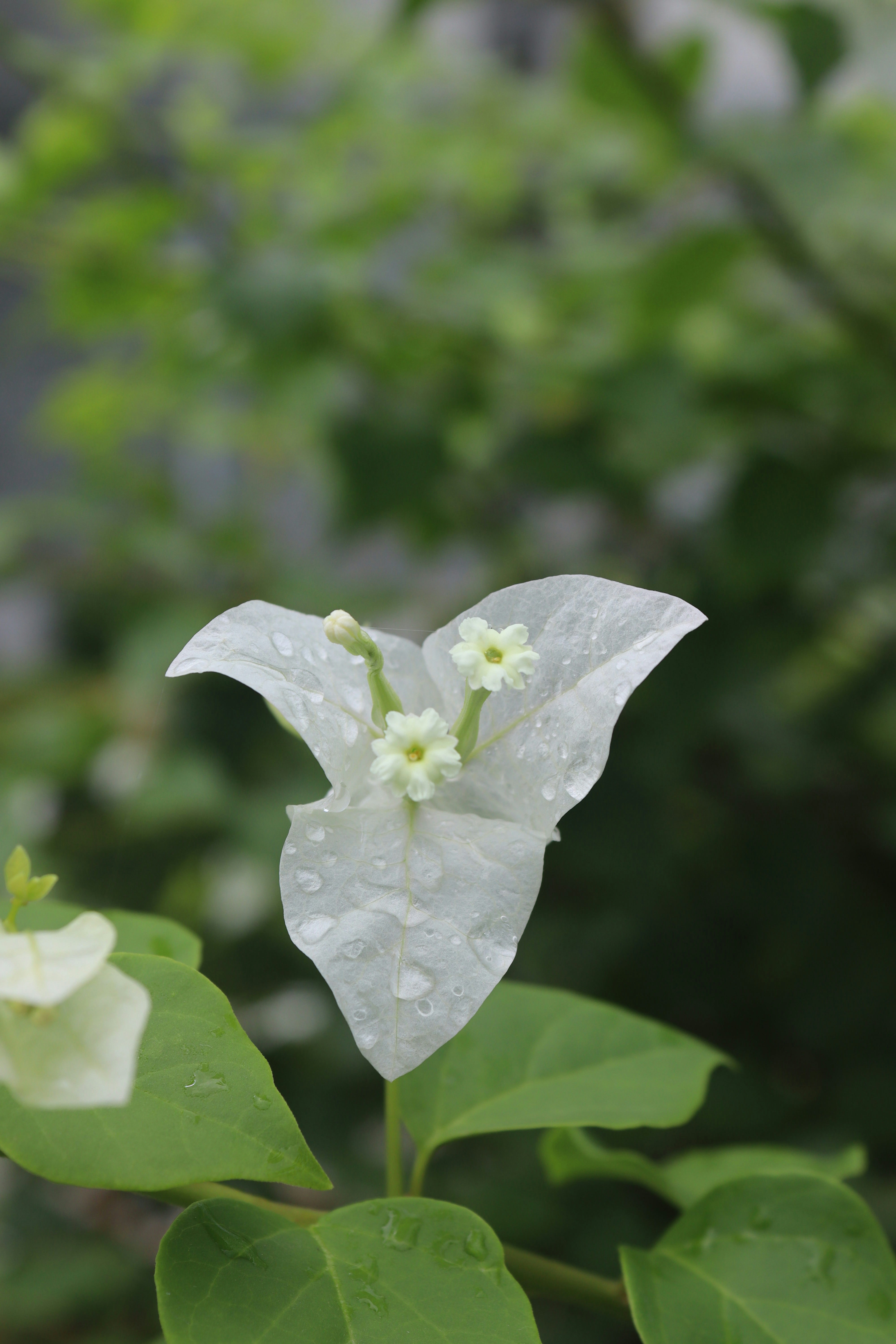 Photo by drphotographer152