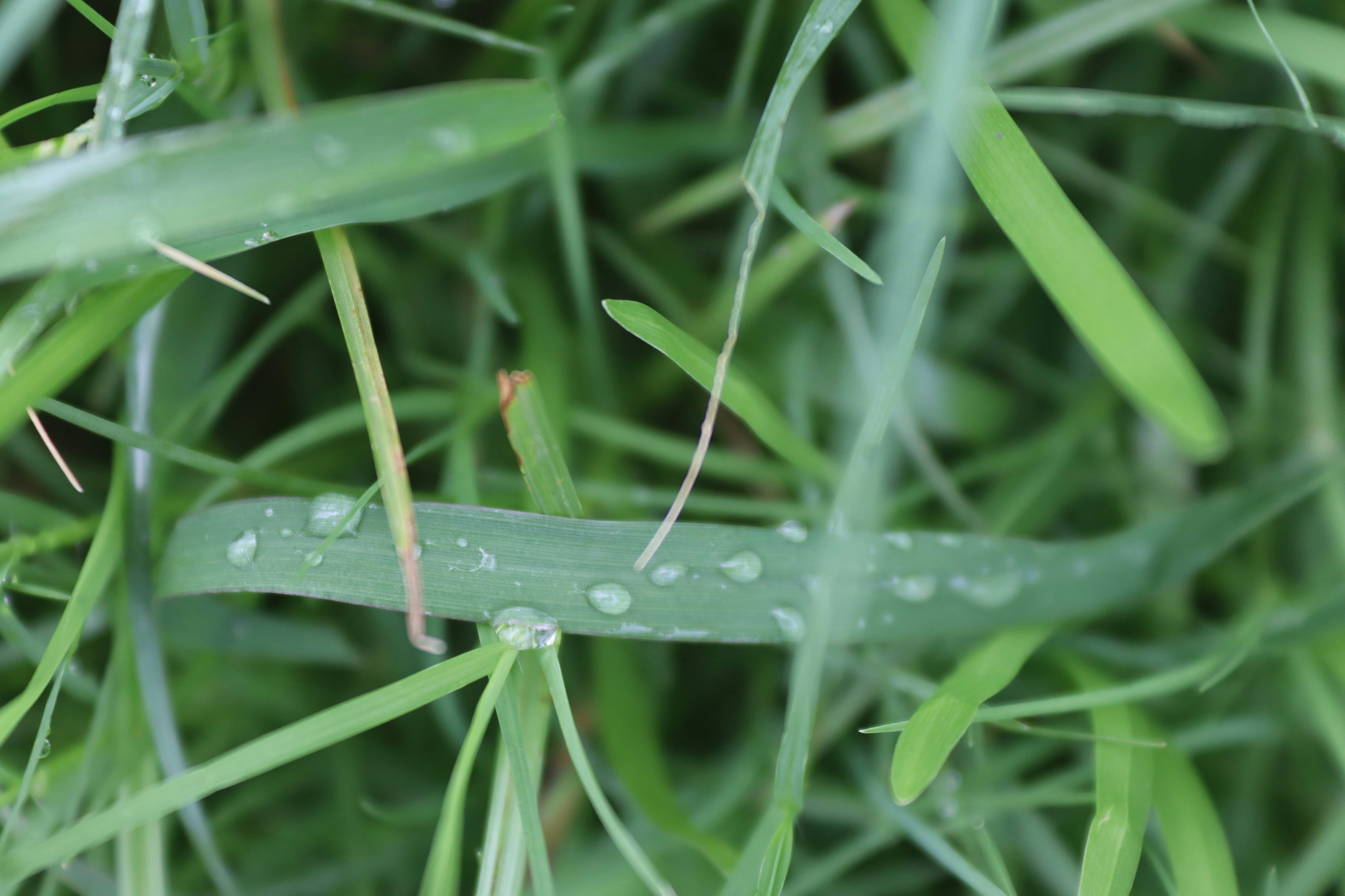 Photo by drphotographer152