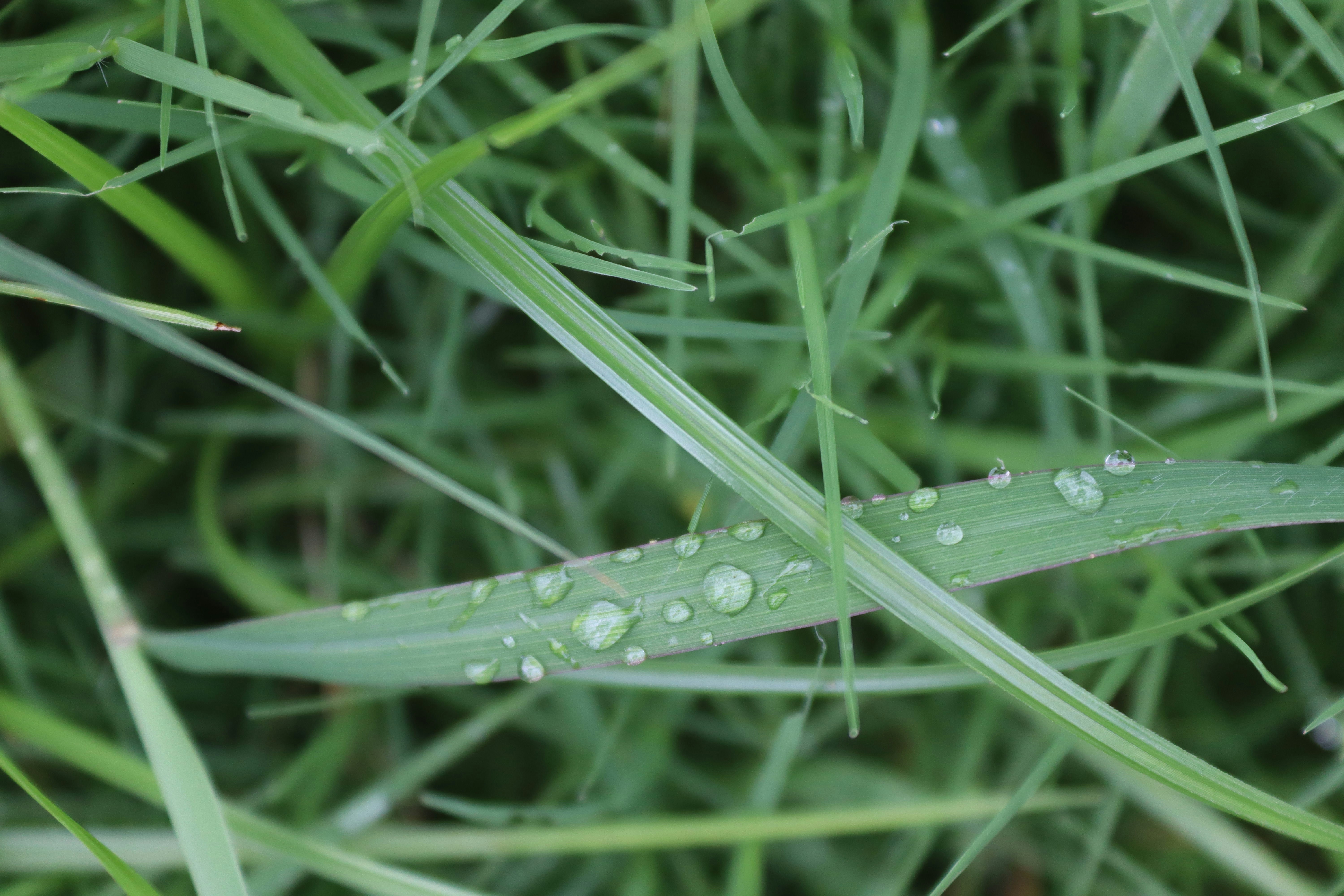 Photo by drphotographer152