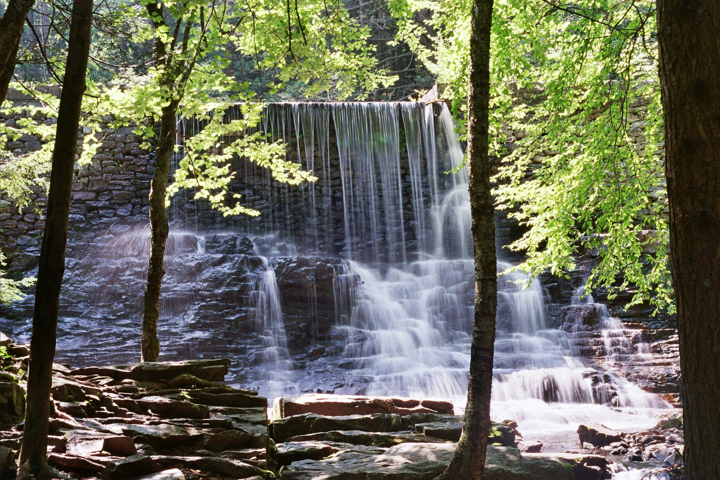 Photo by johnmathews