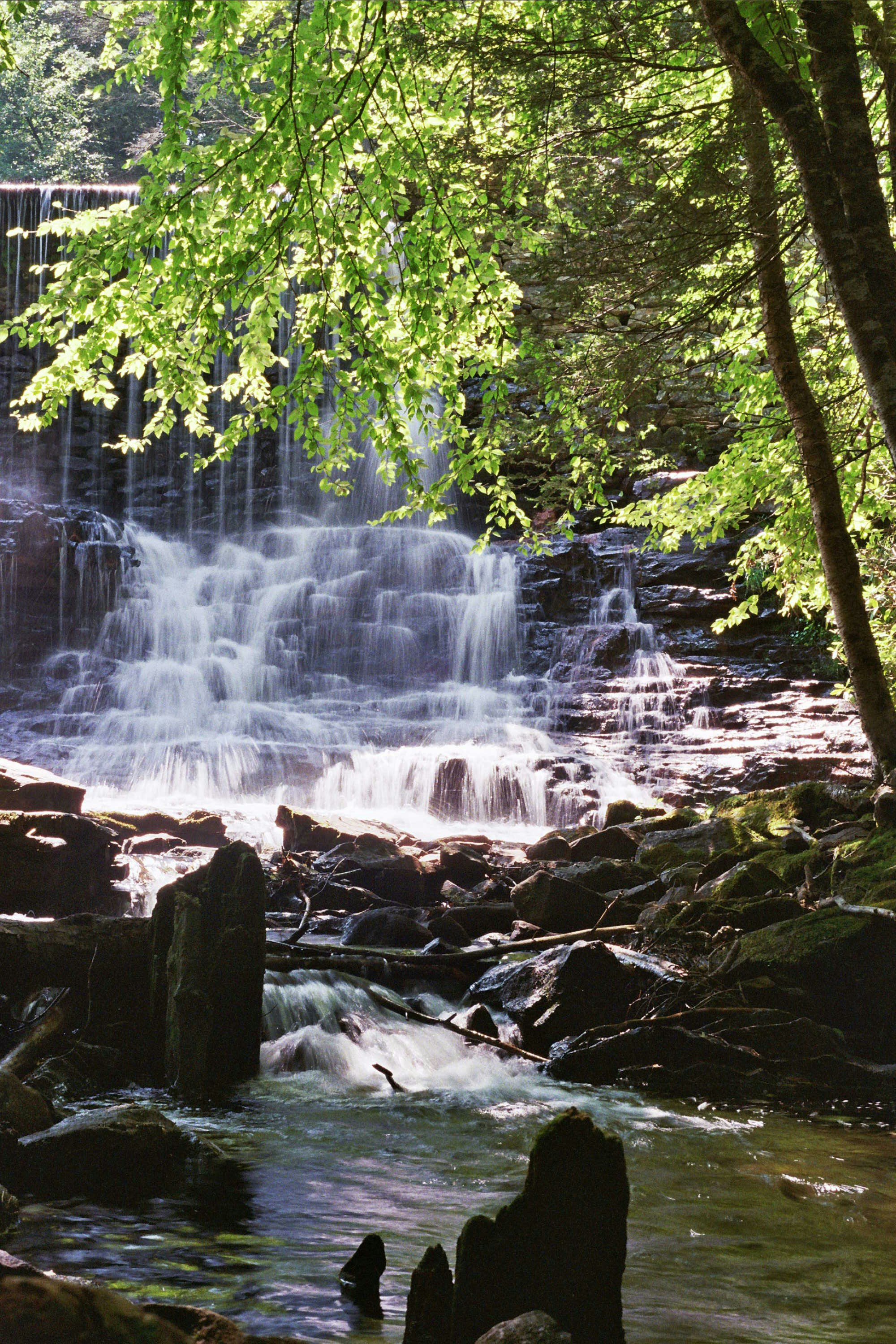 Photo by johnmathews