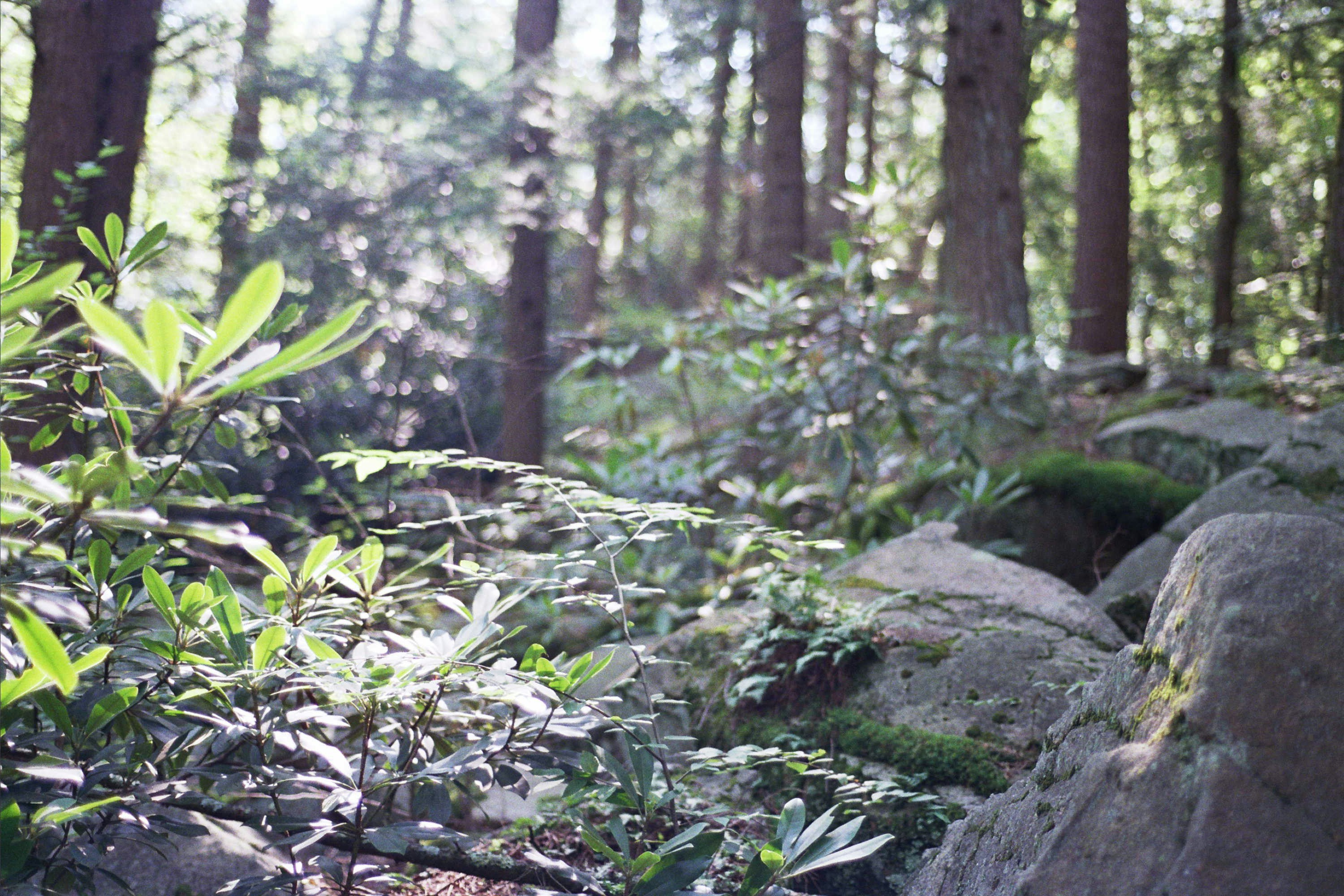 Photo by johnmathews