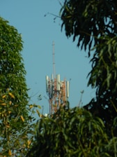 A cell phone tower is seen through the trees
