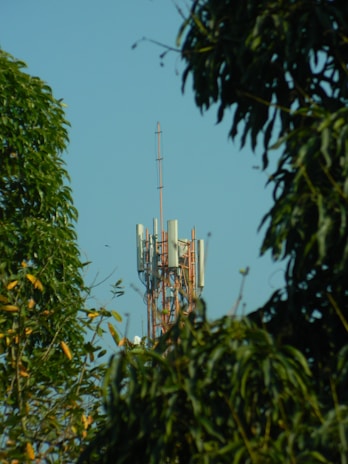 A cell phone tower is seen through the trees