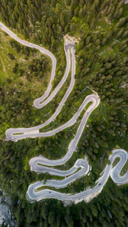 A winding road in the middle of a forest