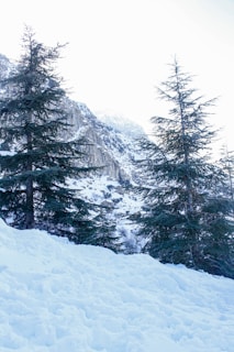 A man riding a snowboard down a snow covered slope
