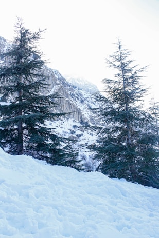 A man riding a snowboard down a snow covered slope
