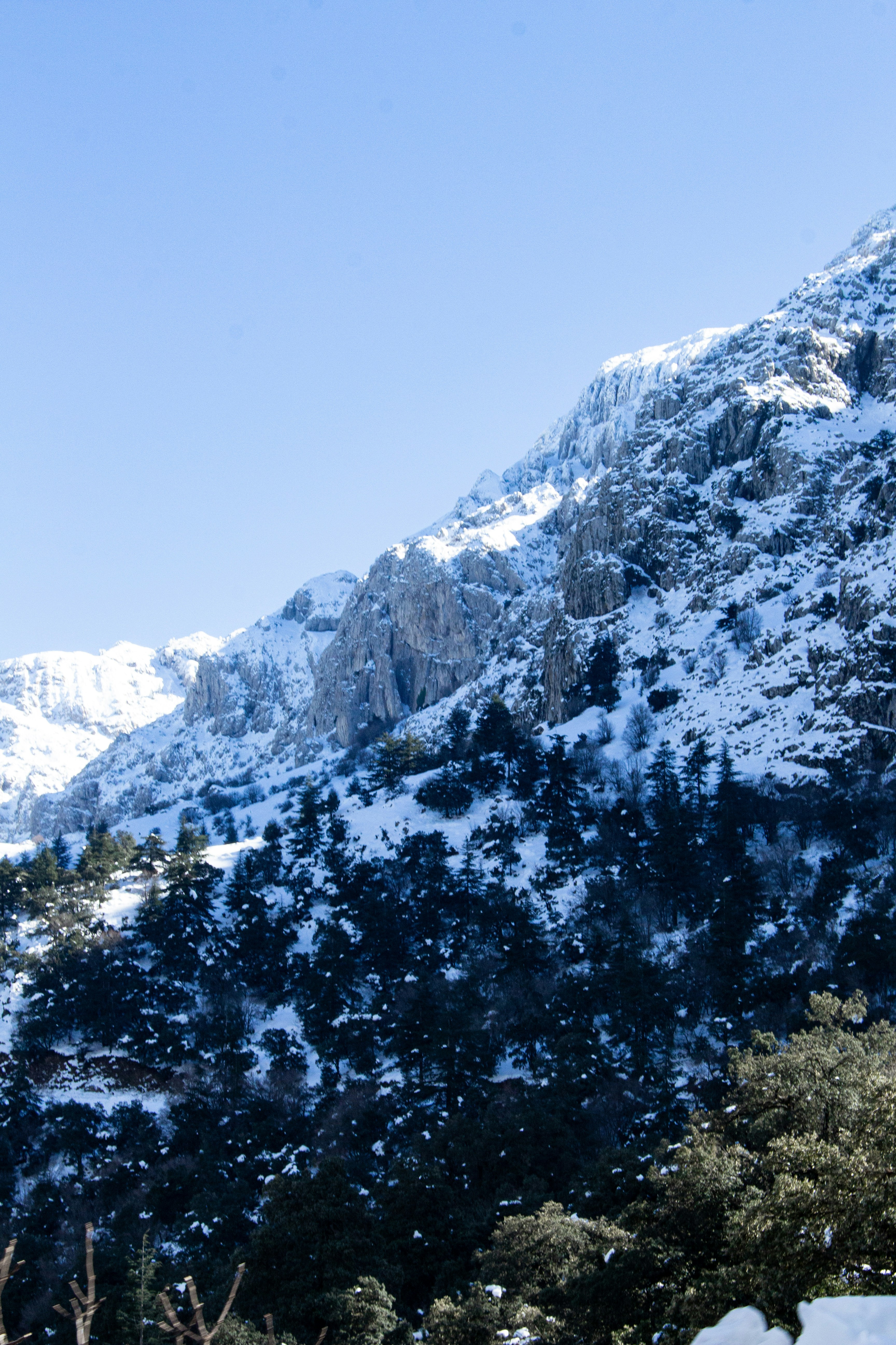 Photo by mezidi_zineb