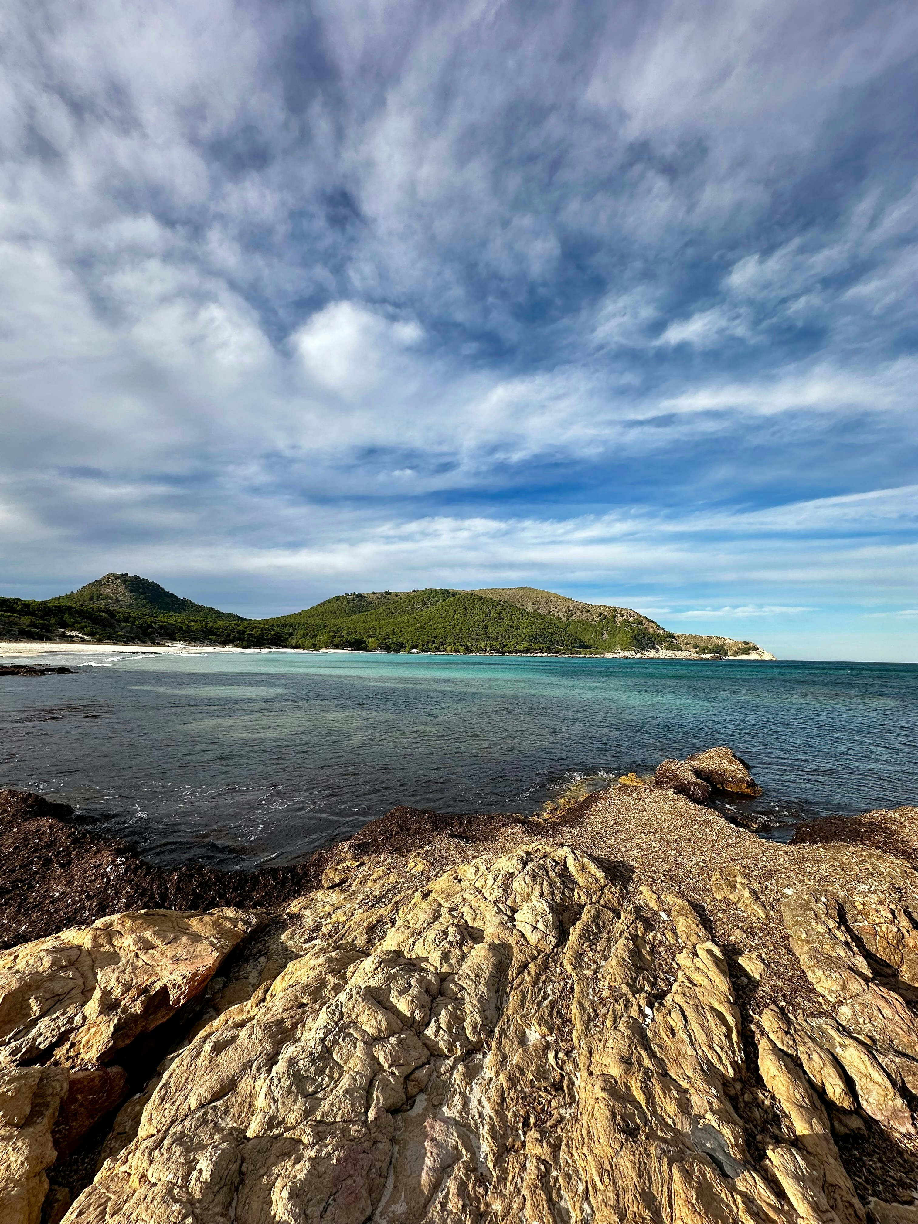 Photo by frolleinandersen