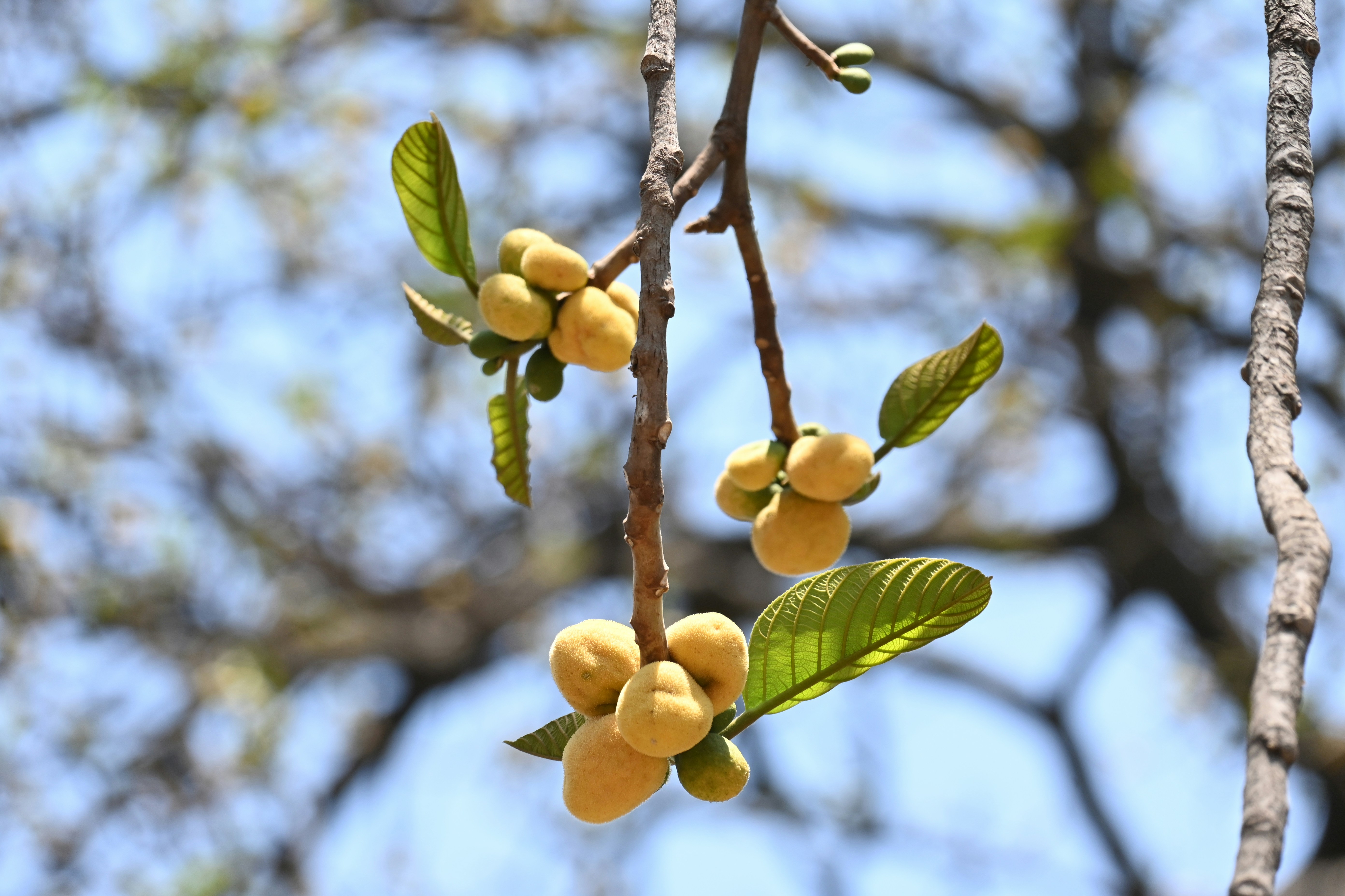 Photo by harshalgunwant