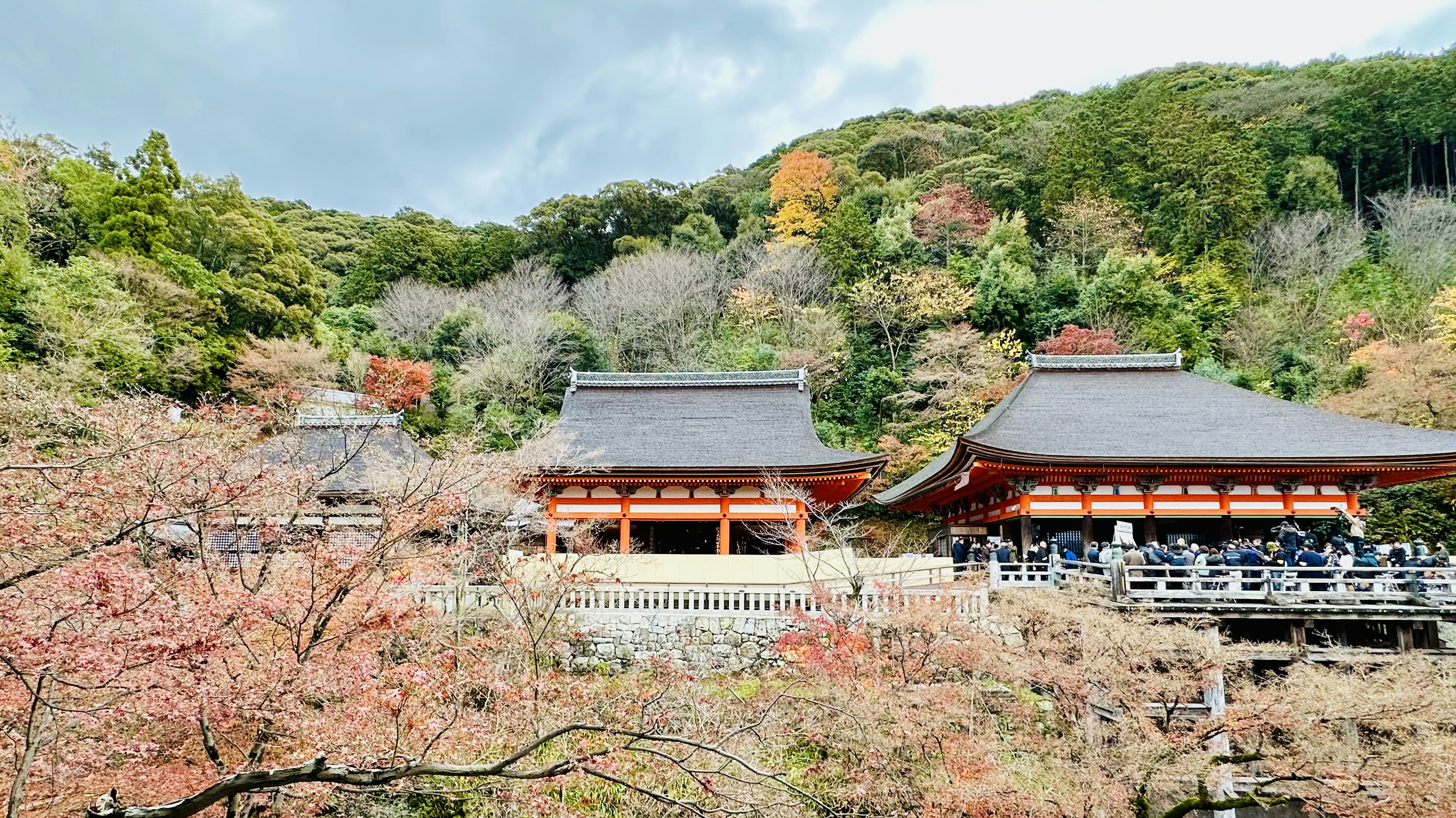 صورة المعرض