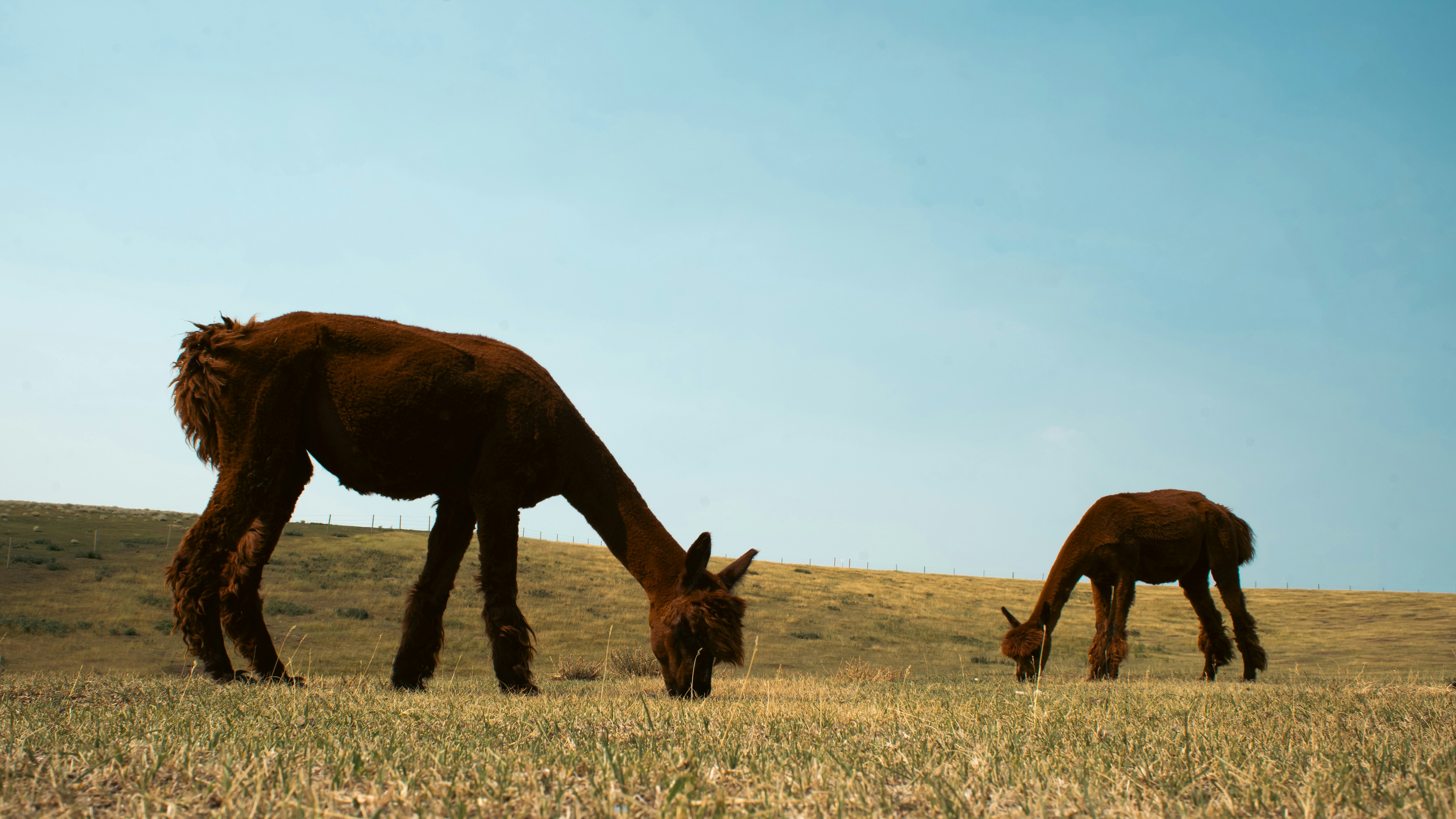 Photo by call_me_sergey