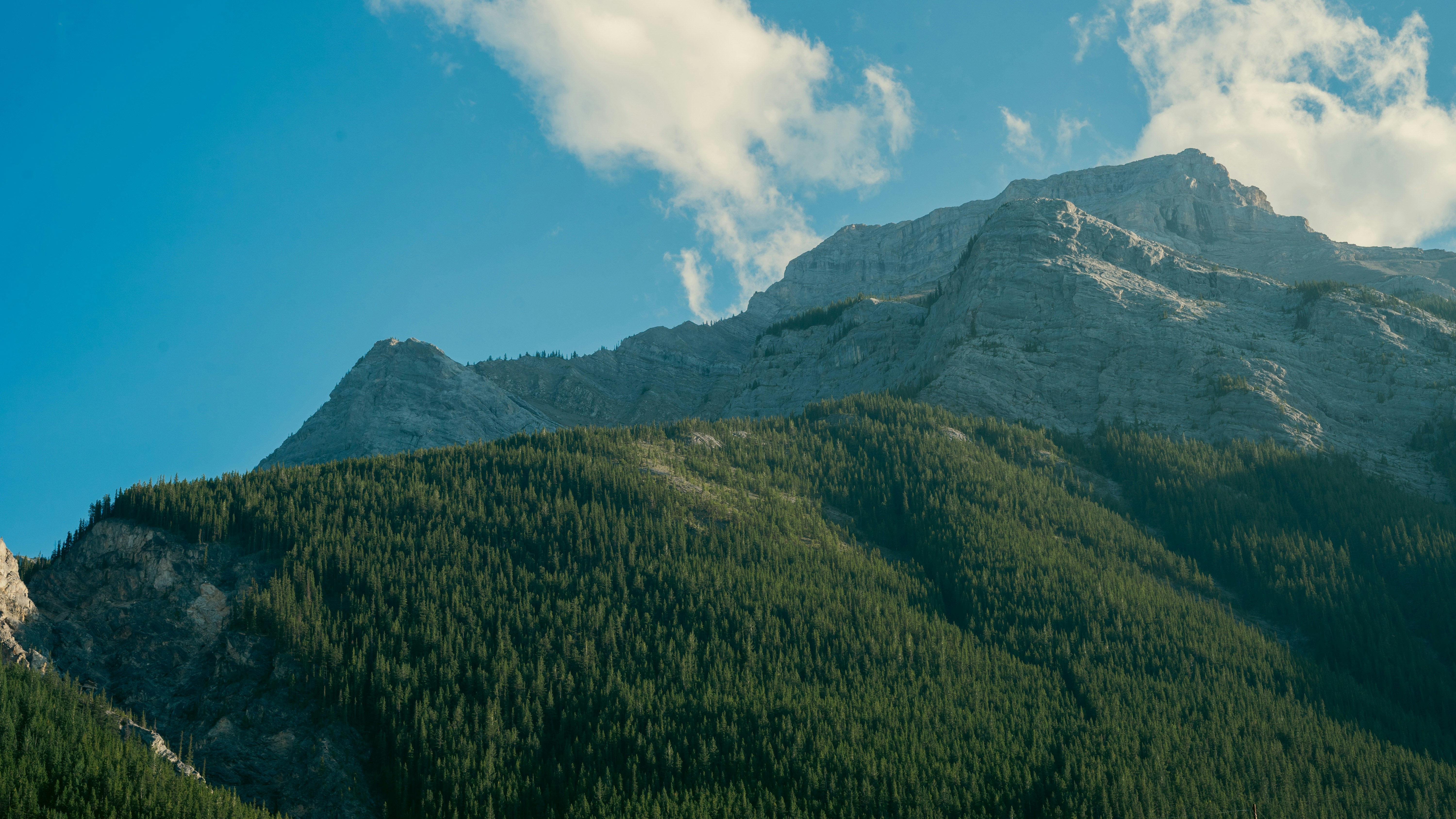 Photo by call_me_sergey