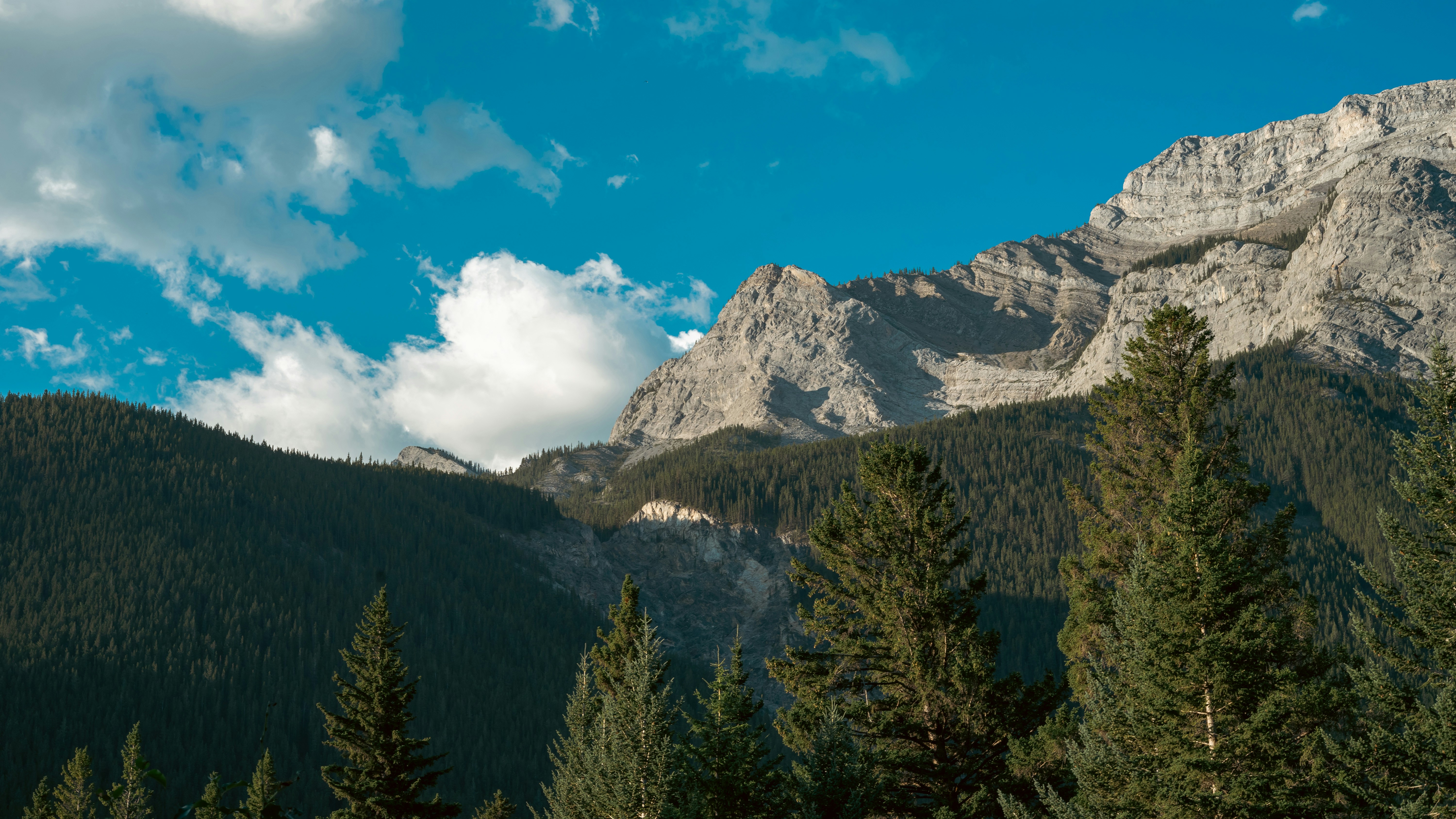 Photo by call_me_sergey