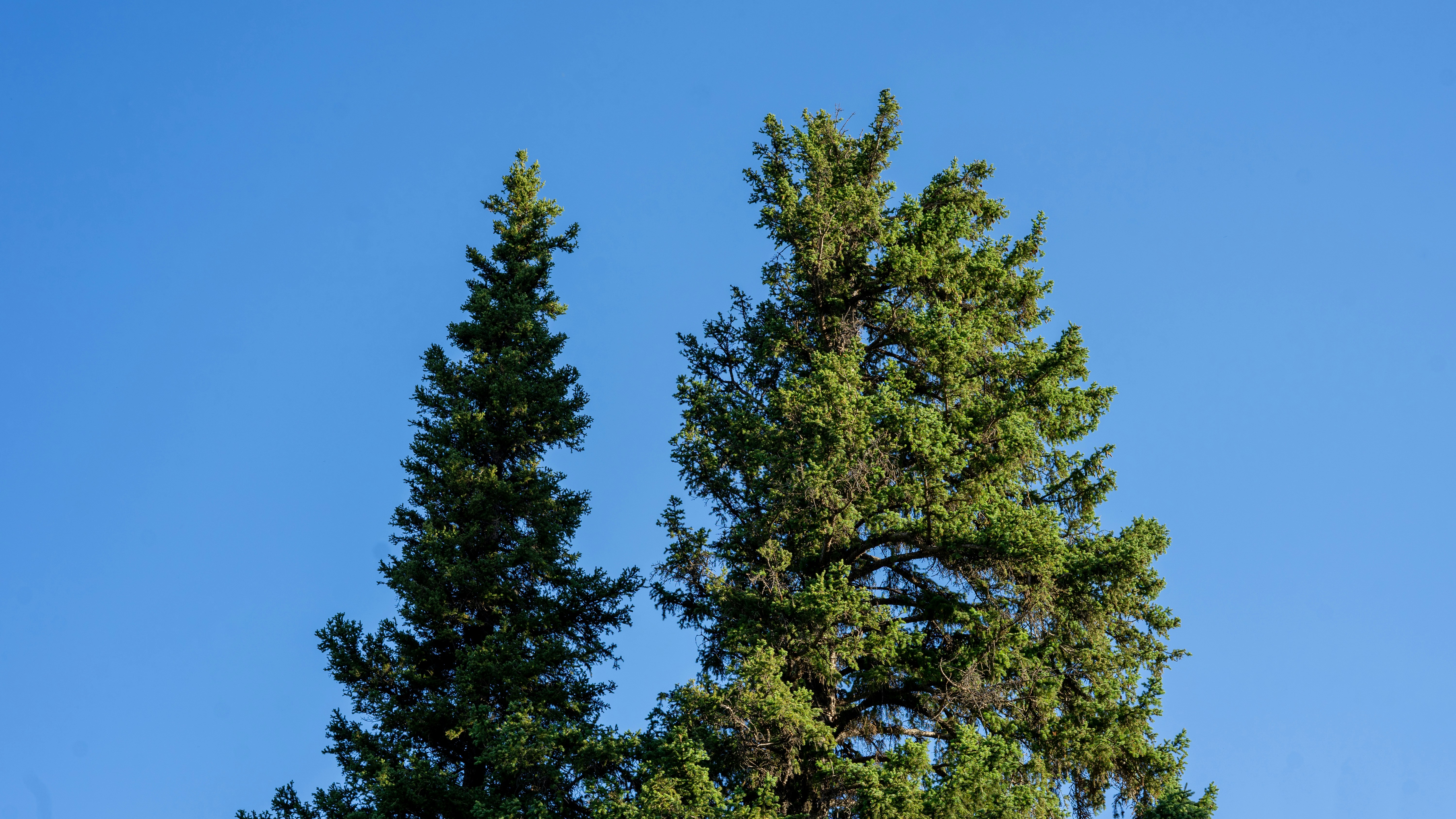 Photo by call_me_sergey