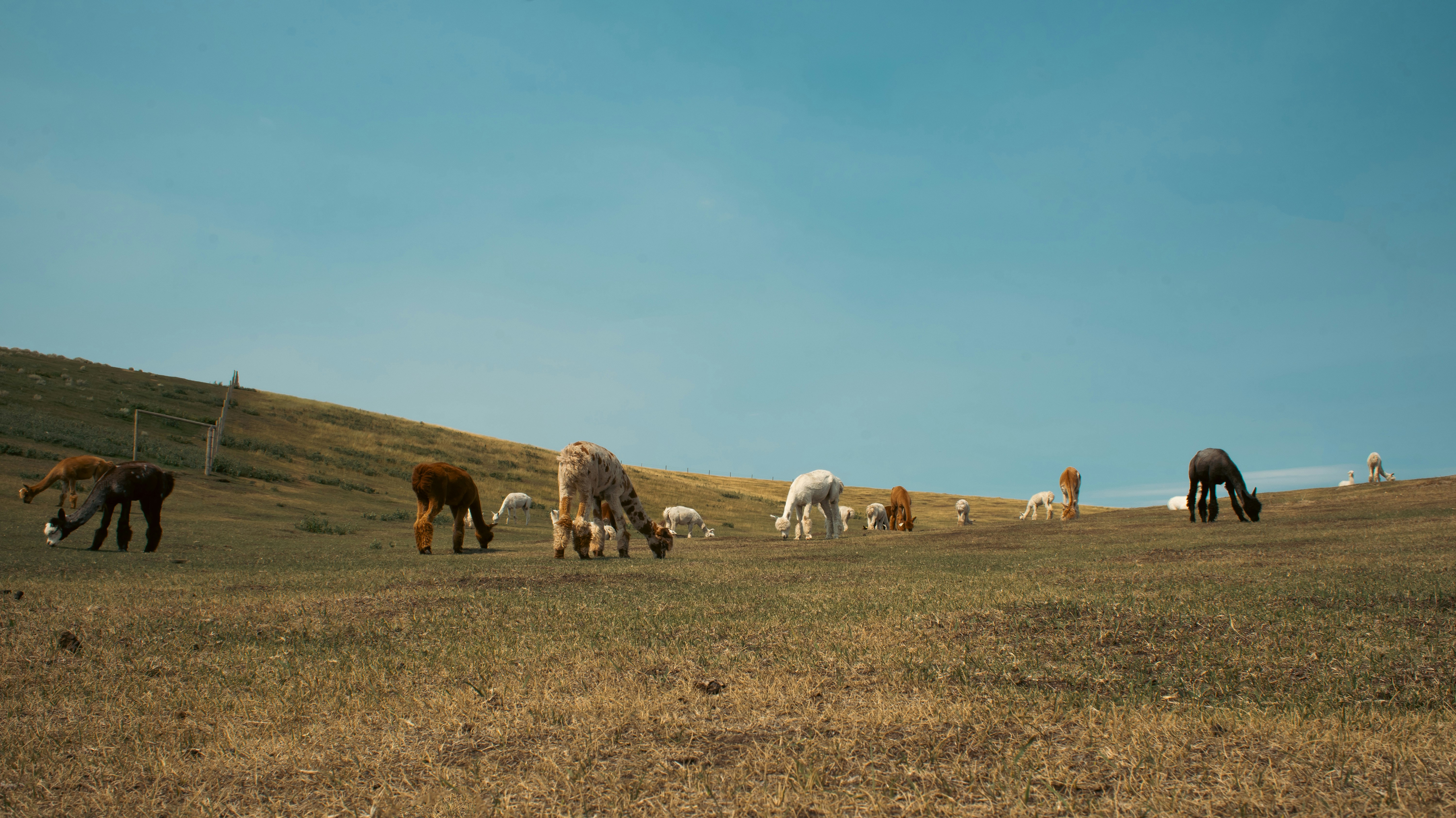 Photo by call_me_sergey