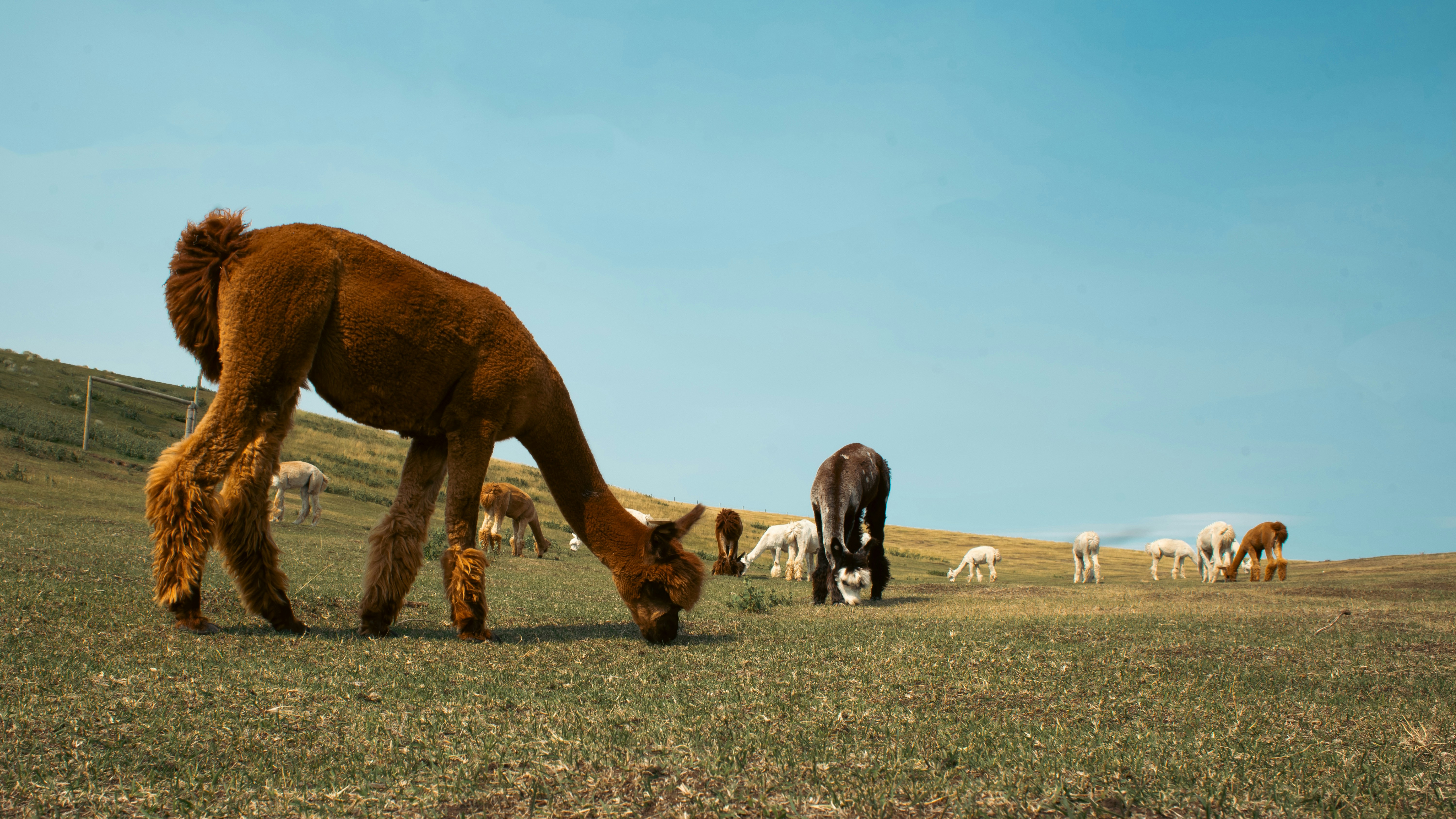 Photo by call_me_sergey