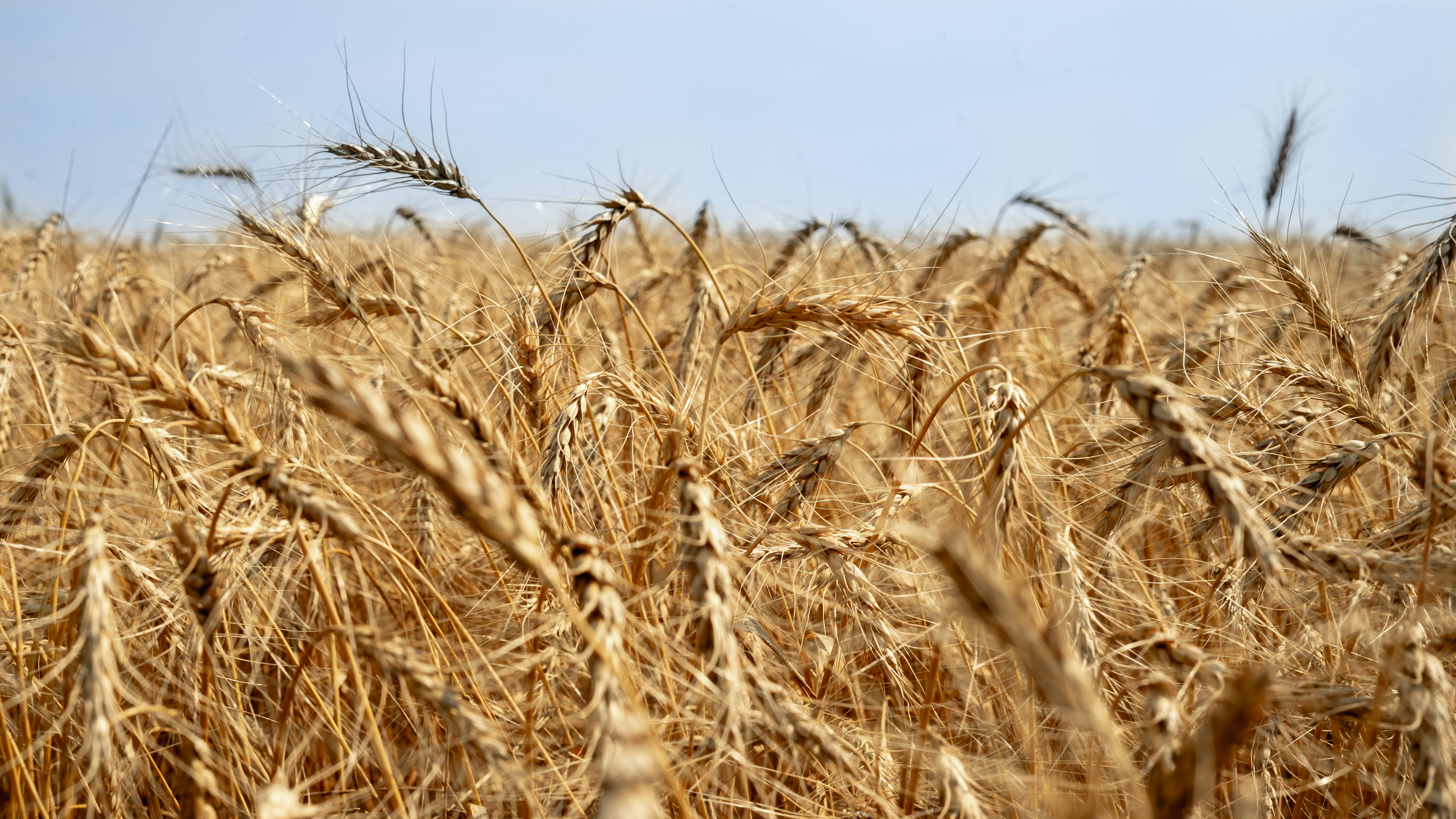 Photo by call_me_sergey