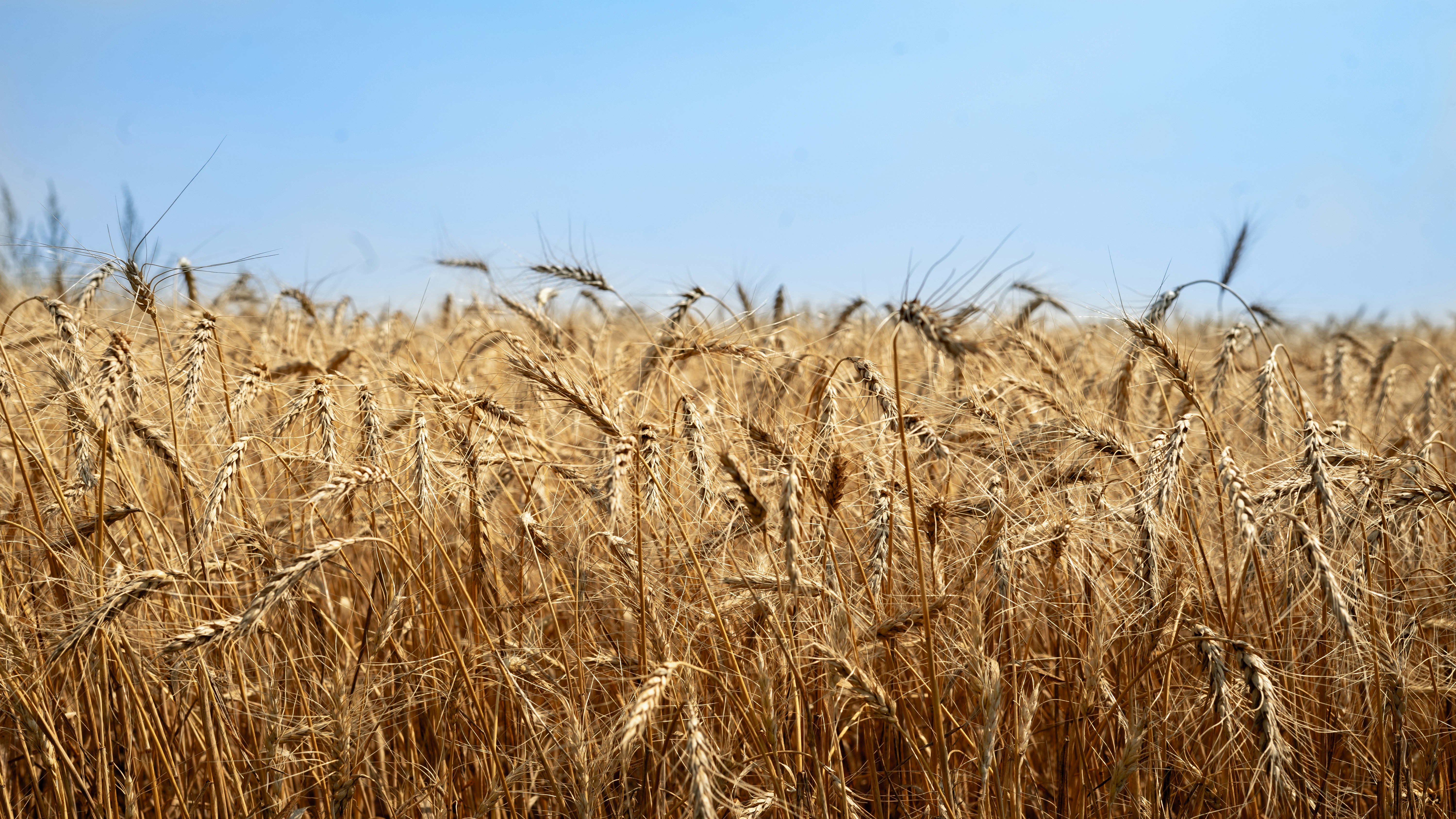 Photo by call_me_sergey