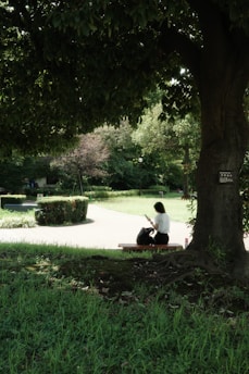A person sitting on a bench under a tree