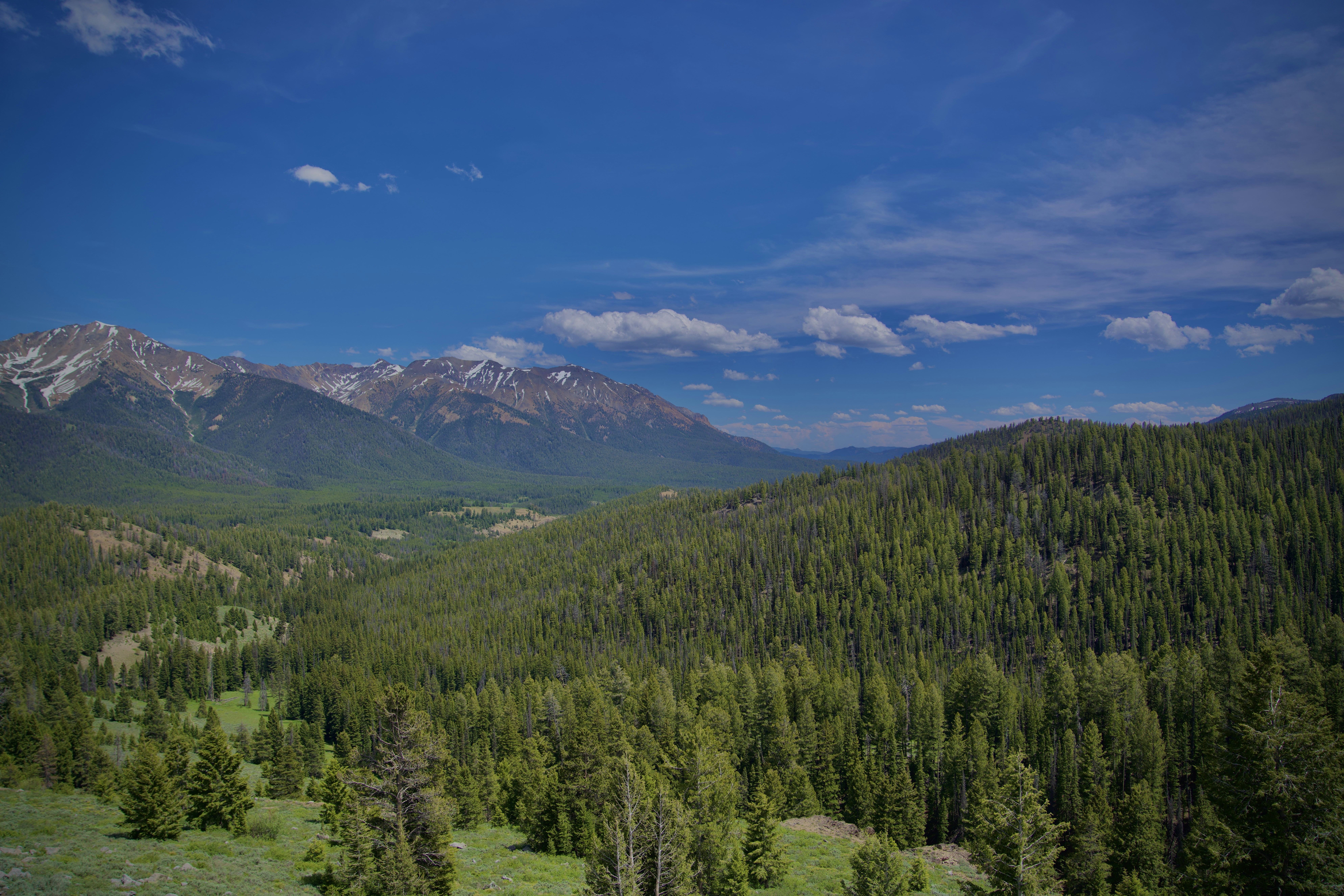 Photo by chonkyninja