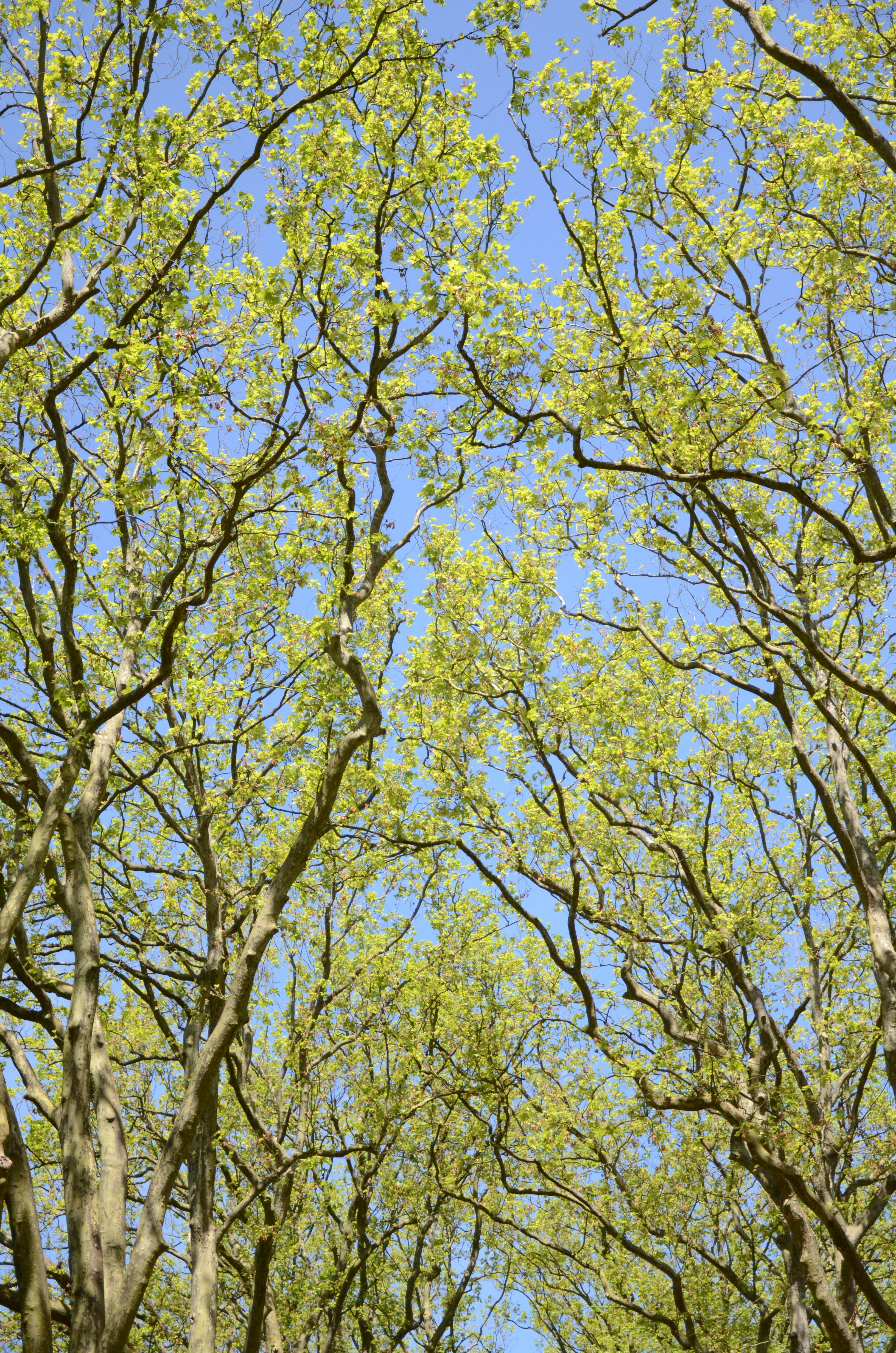 Photo by andreakest2018