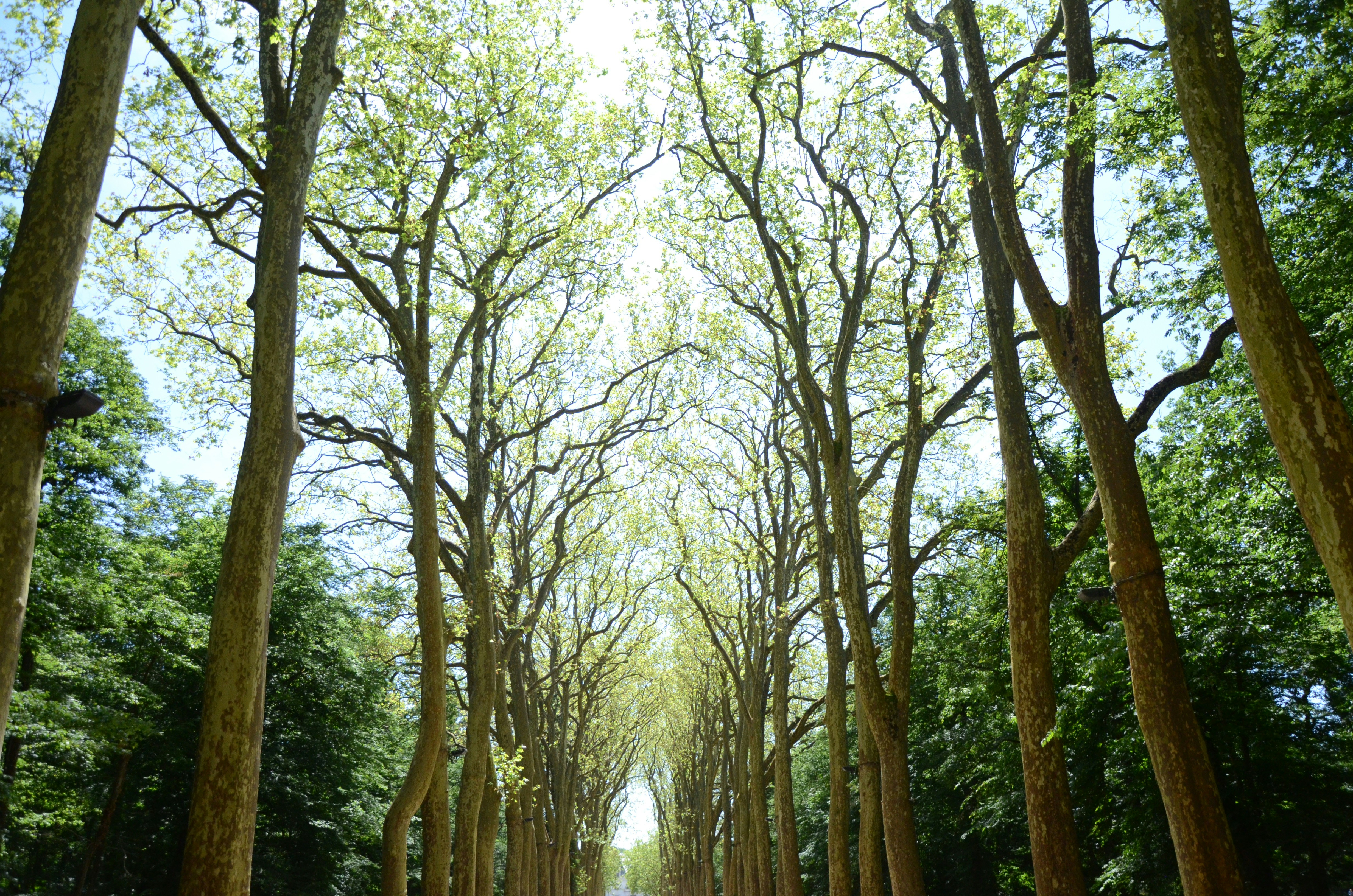 Photo by andreakest2018