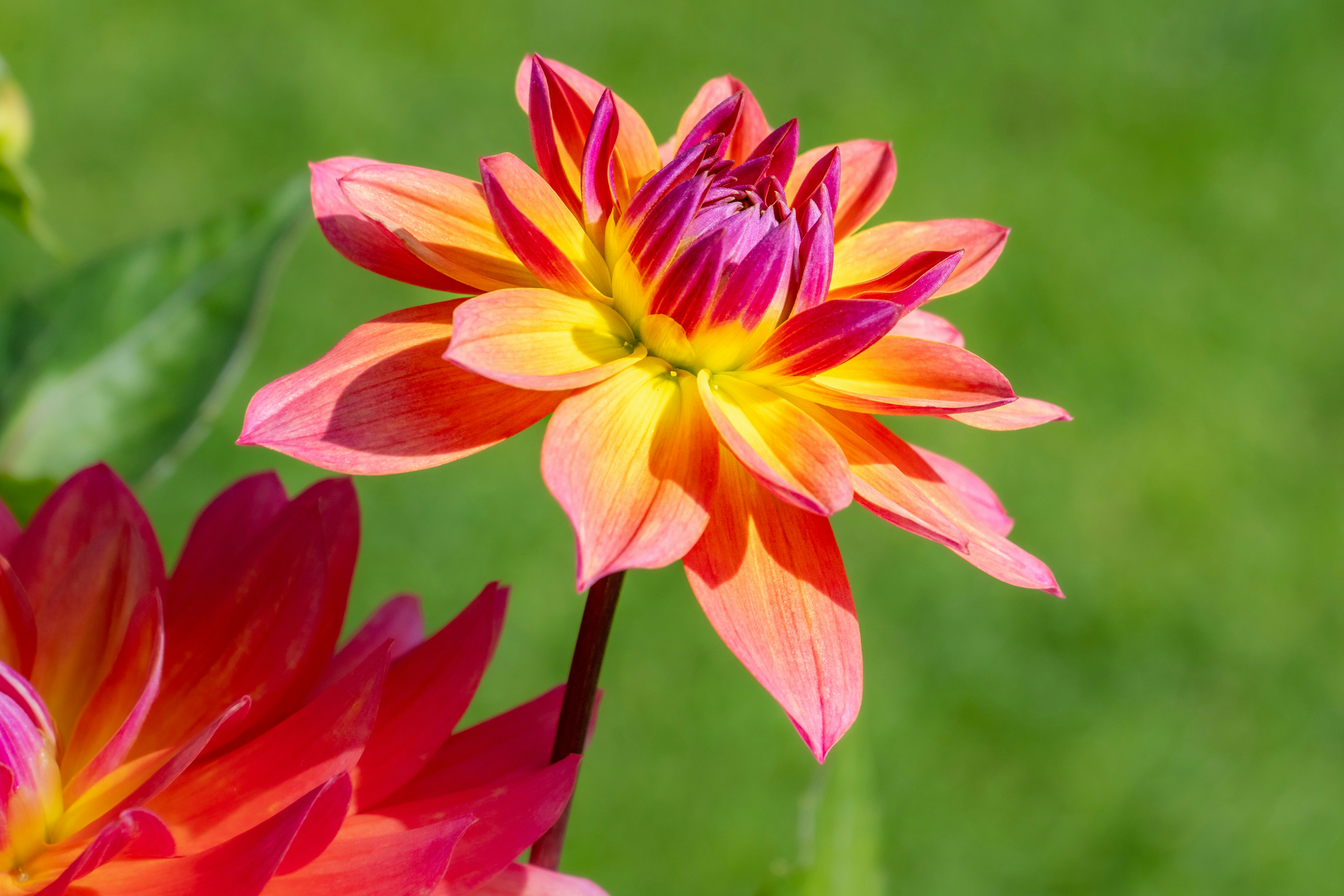 Photo by siegfriedpoepperl