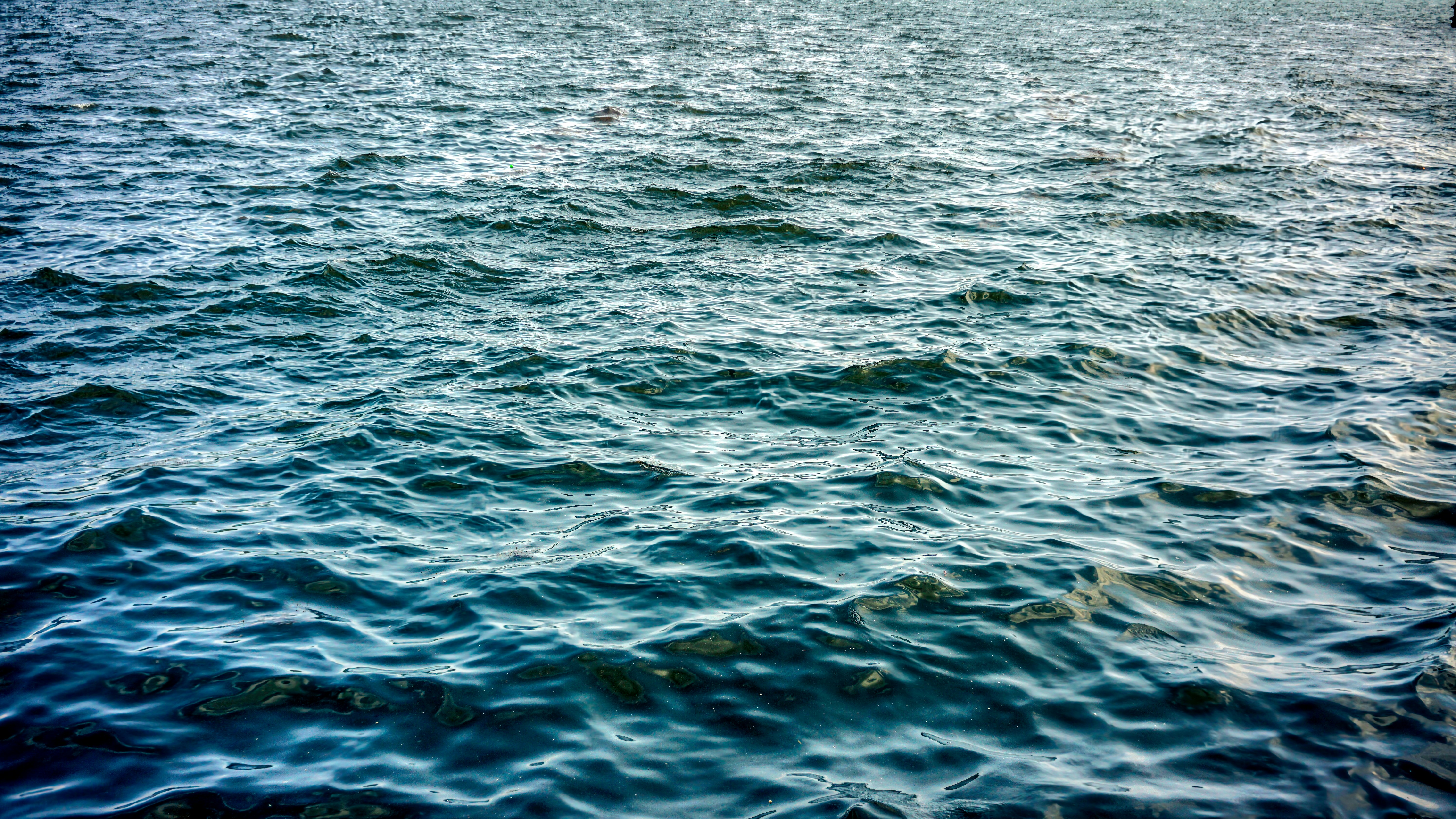 Photo by thomaskinto