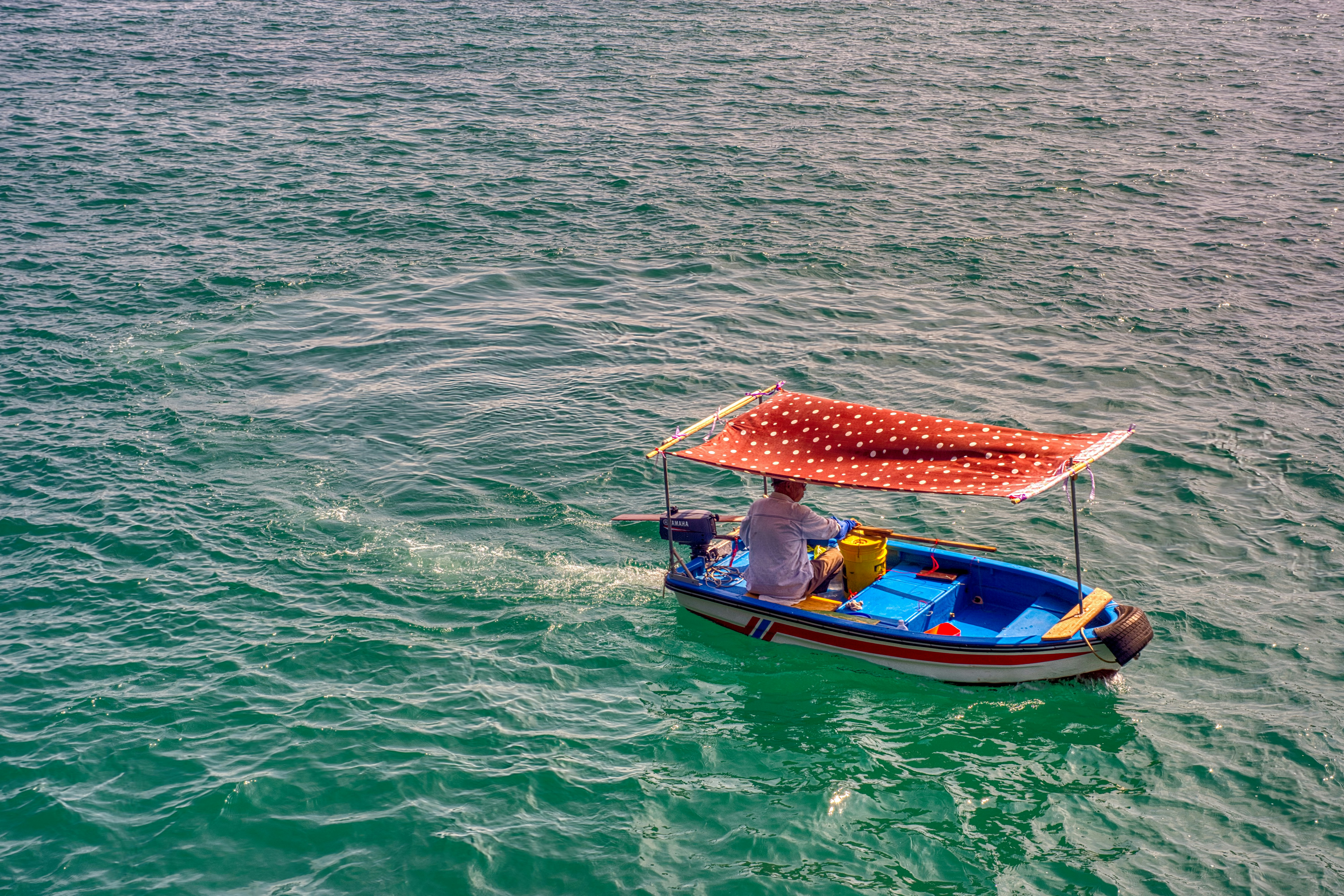 Photo by thomaskinto