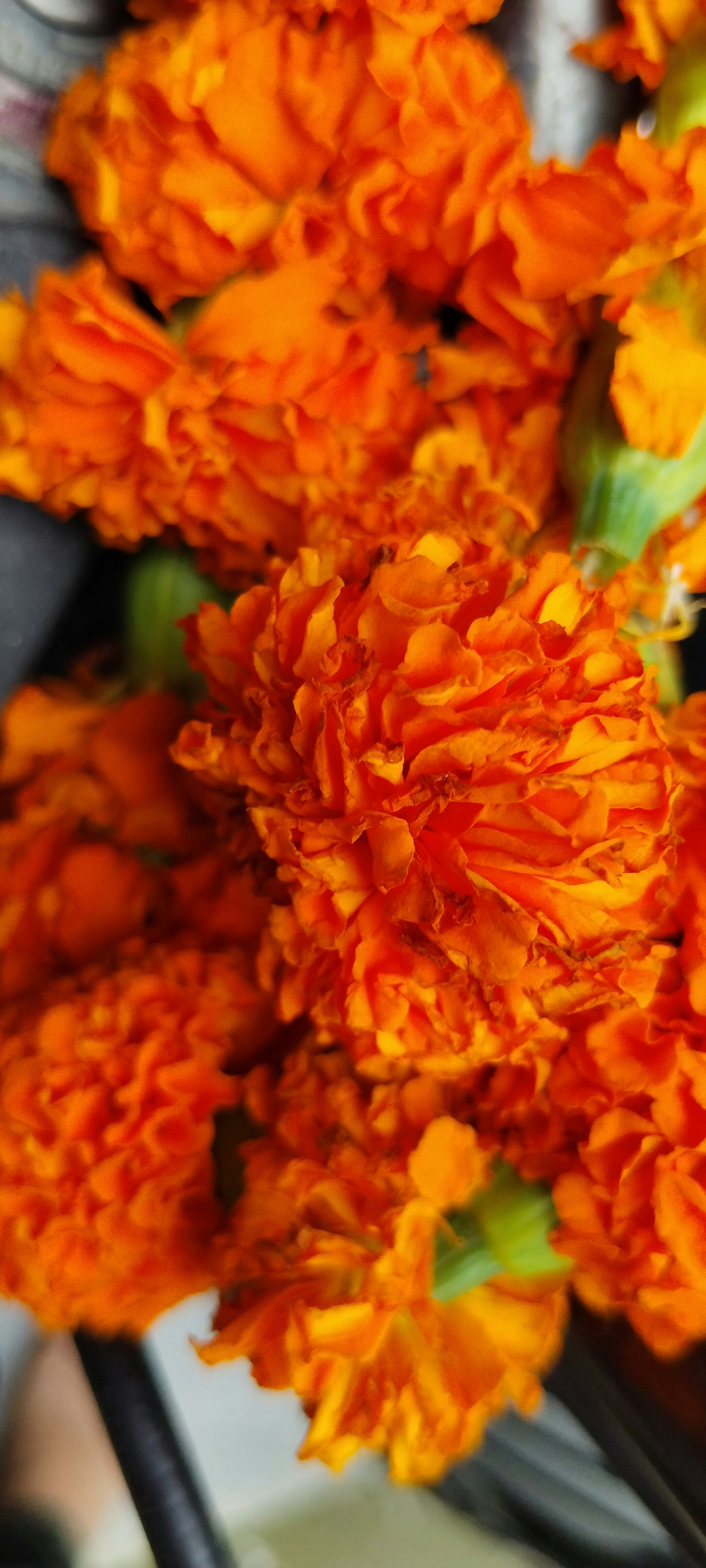 Photo by vimleshtailor