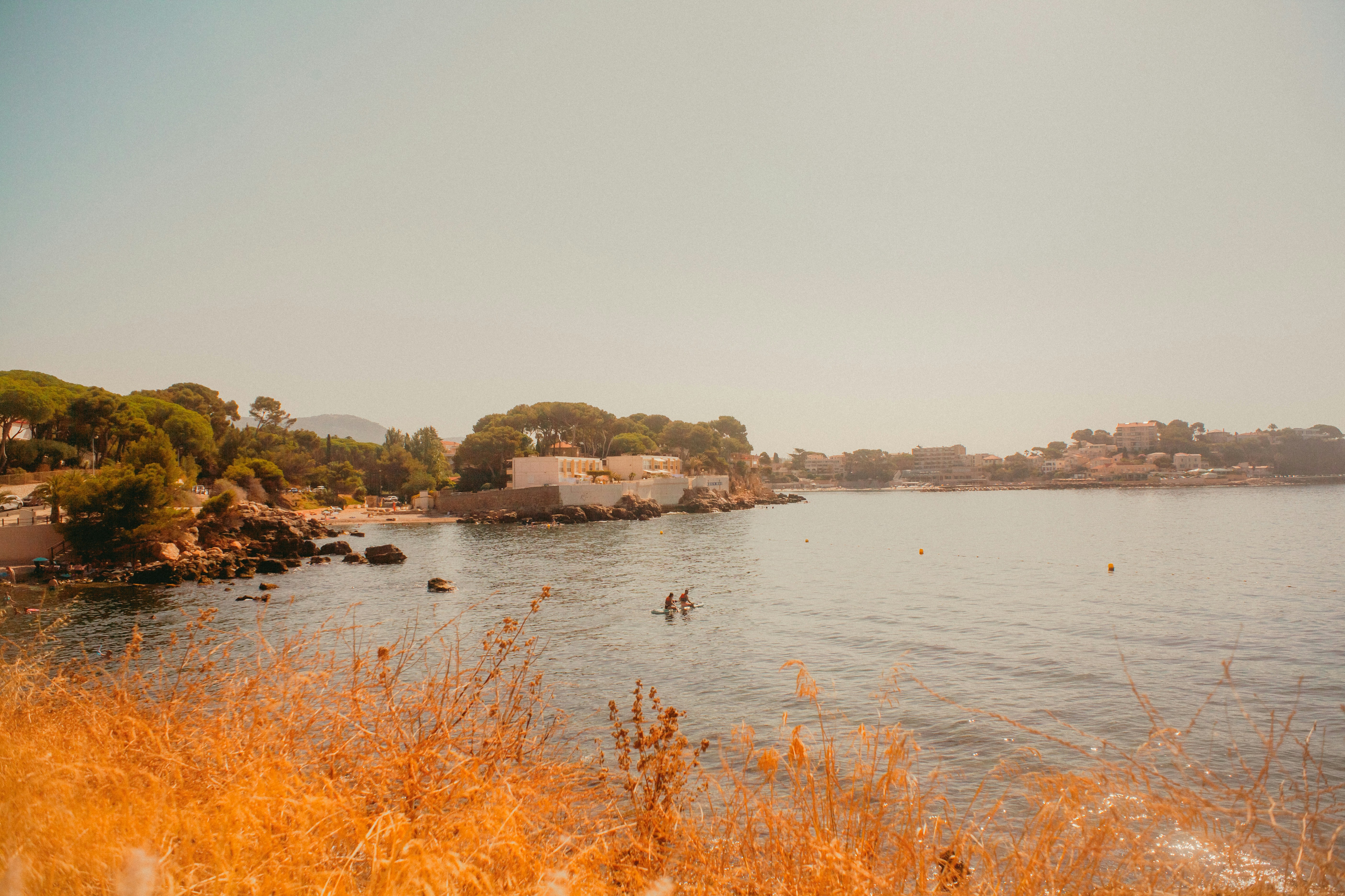Bandol