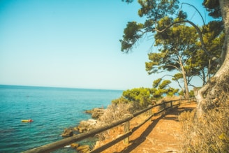 A view of the ocean from a path leading to a beach