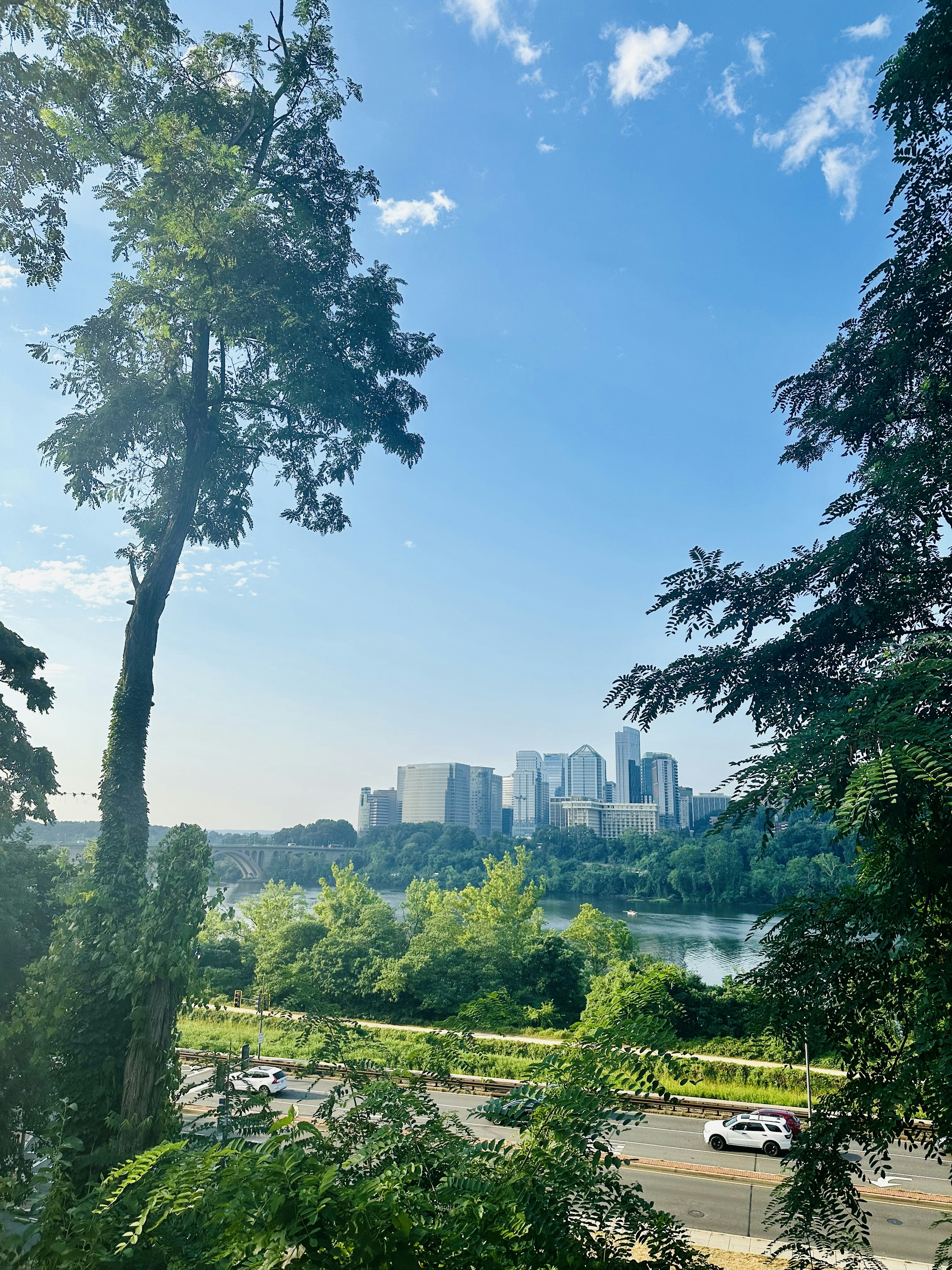 A view of a city and a river from a hill