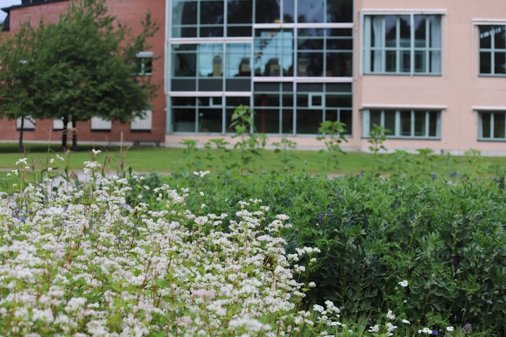 FHM - Fachhochschule des Mittelstands (University of Applied Sciences)