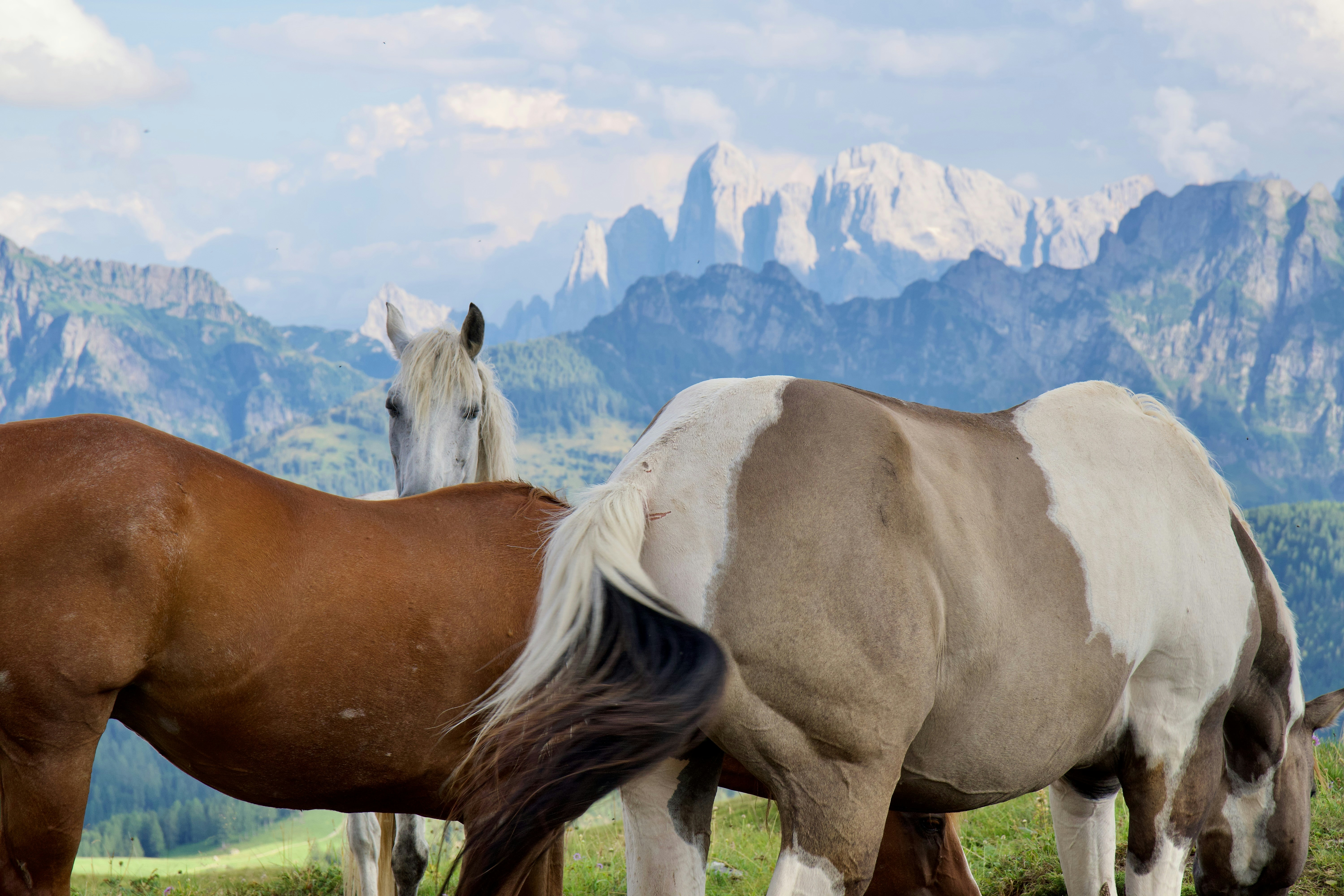 Photo by lucacaronti