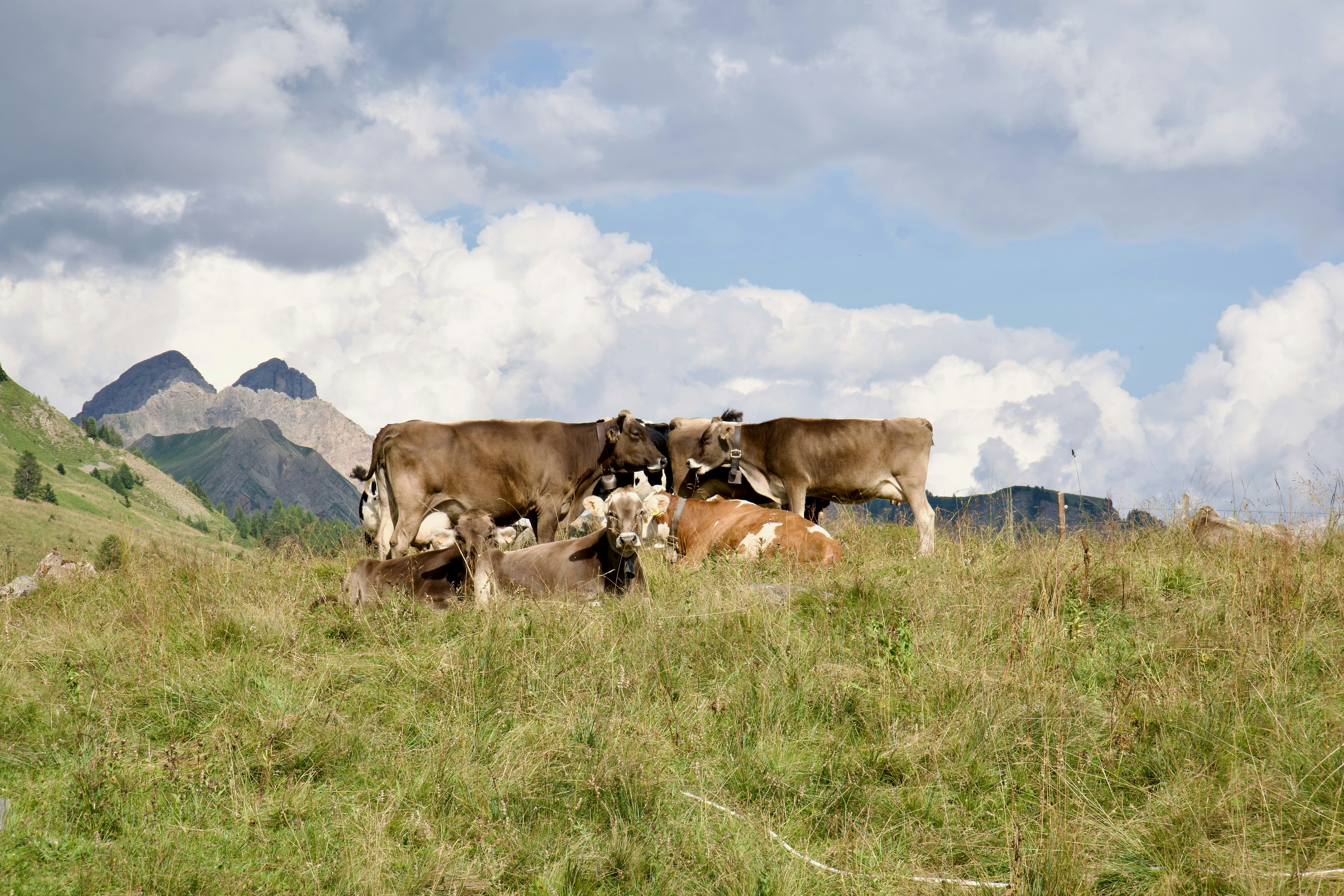 Photo by lucacaronti