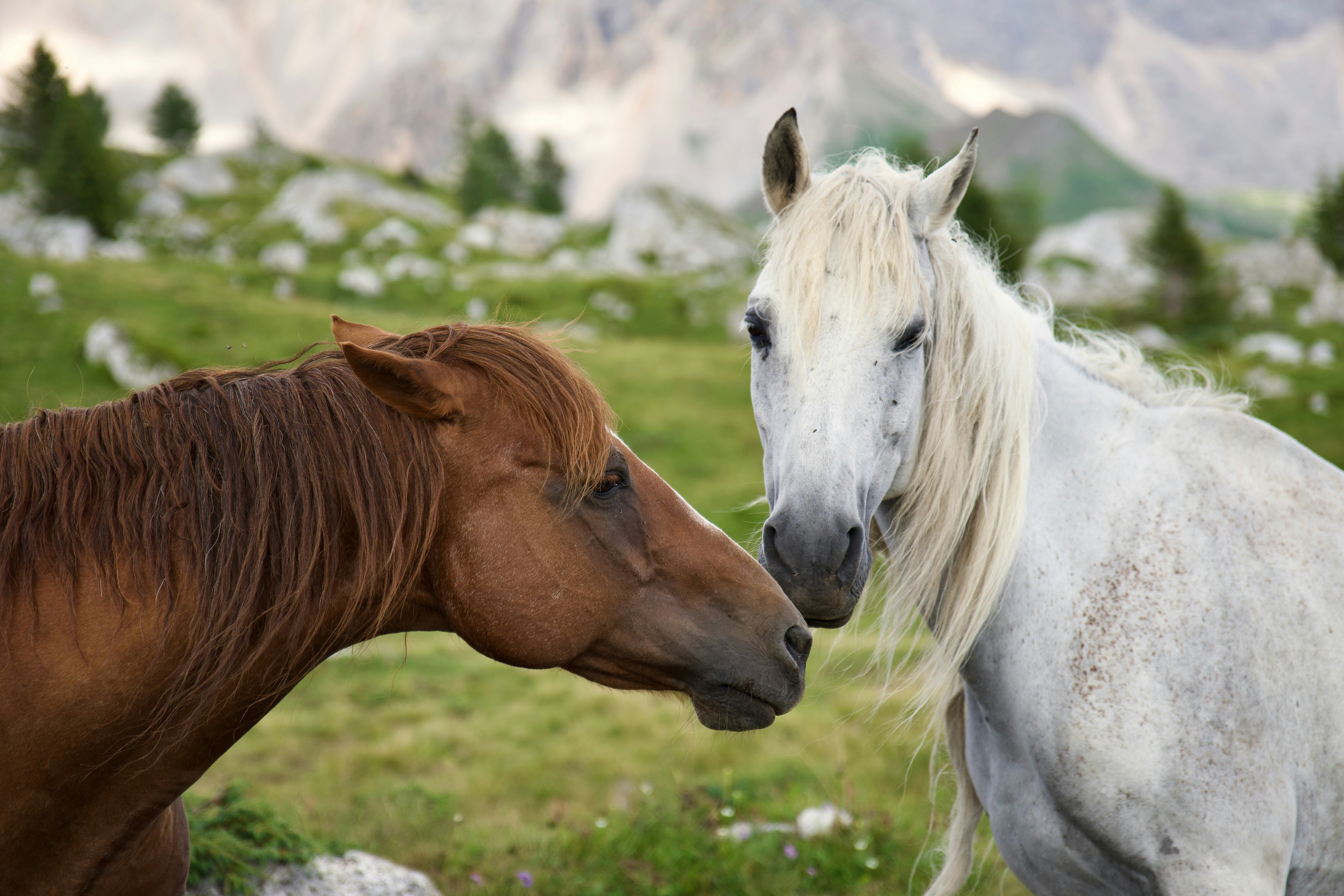 Photo by lucacaronti