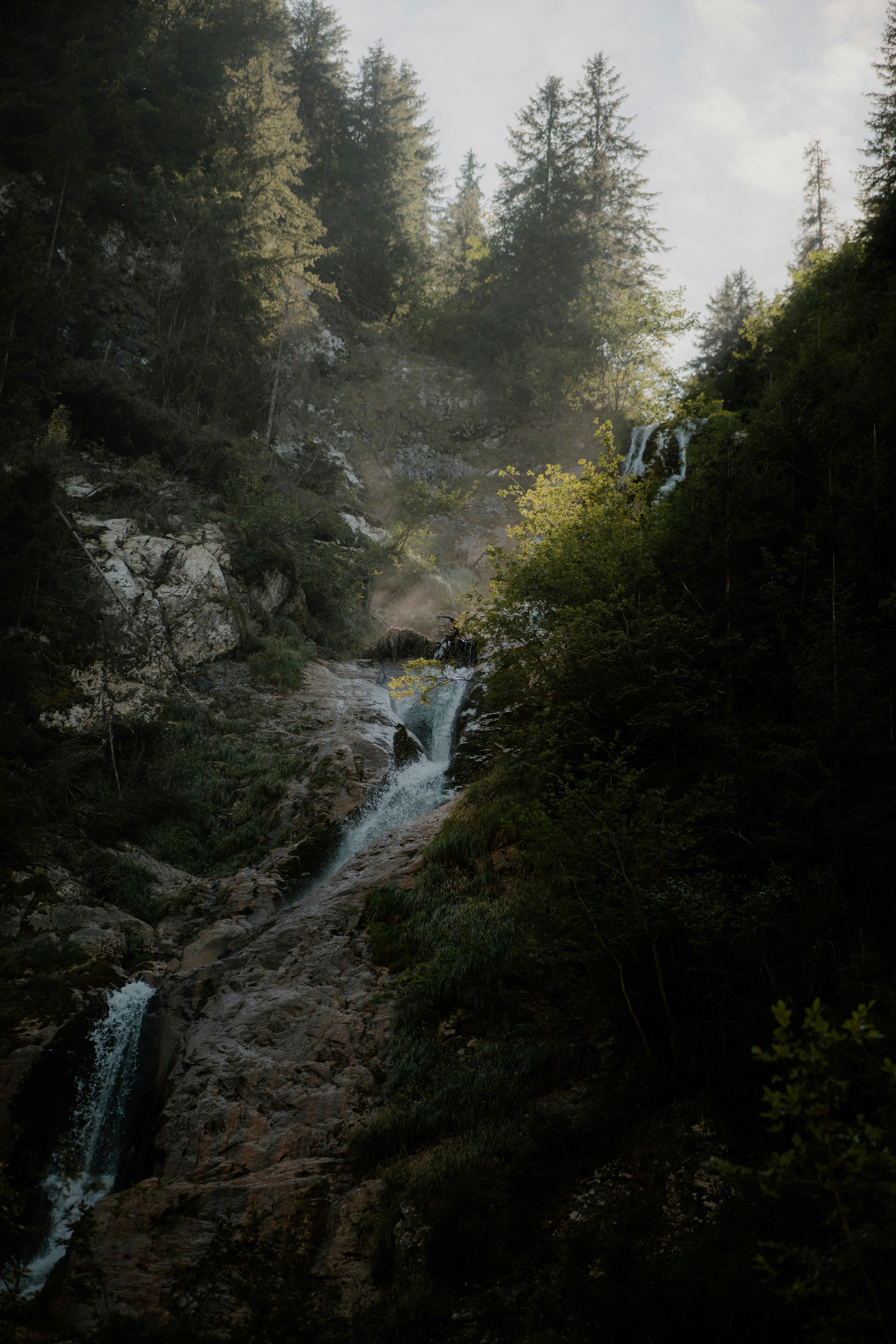 Photo by luisgherasim